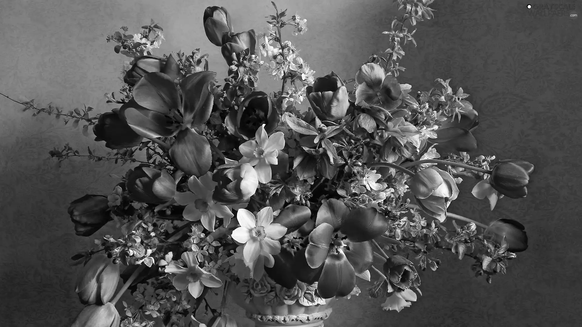 narcissus, Helleborus, bouquet, Tulips, Flowers