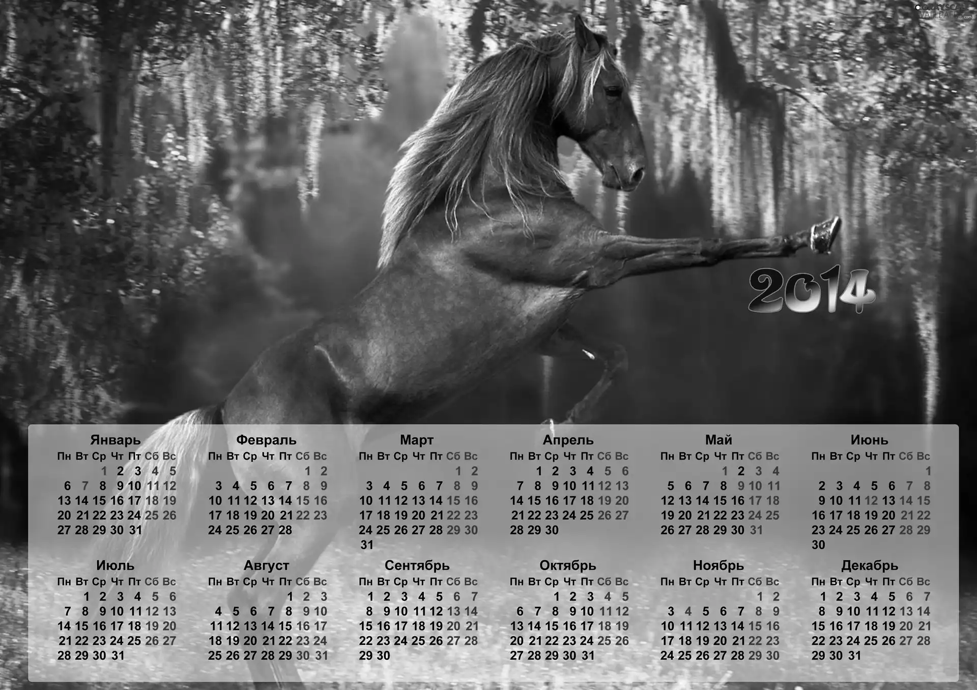 Horse, Calendar, 2014