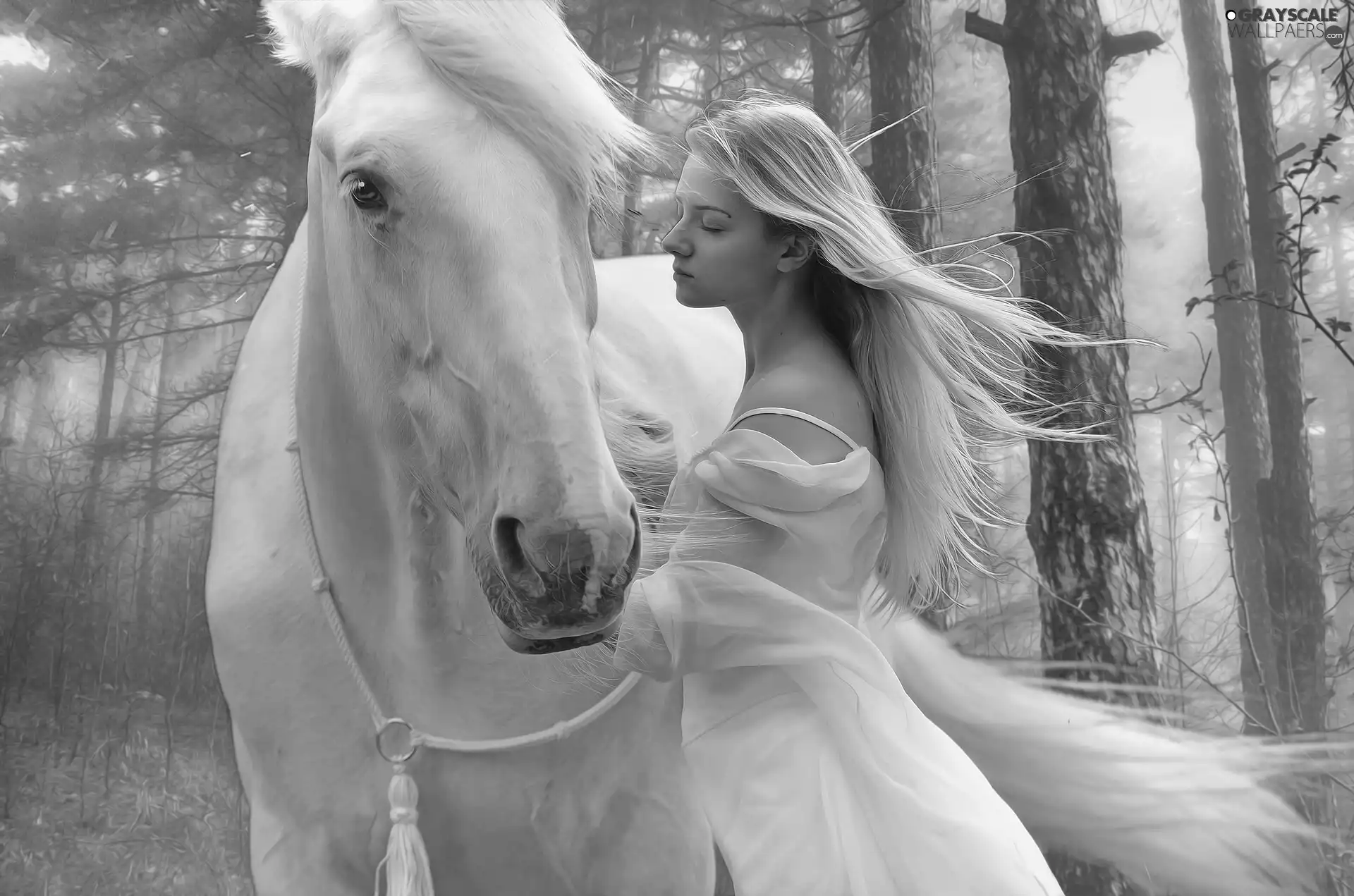 Horse, White, girl, Blonde, viewes, graphics, Dress, trees, White