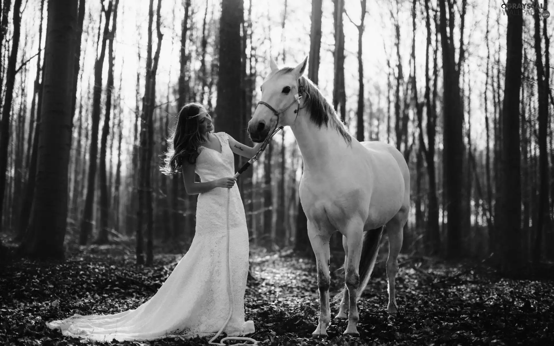dress, ##, forest, white, Women, Horse, Leaf