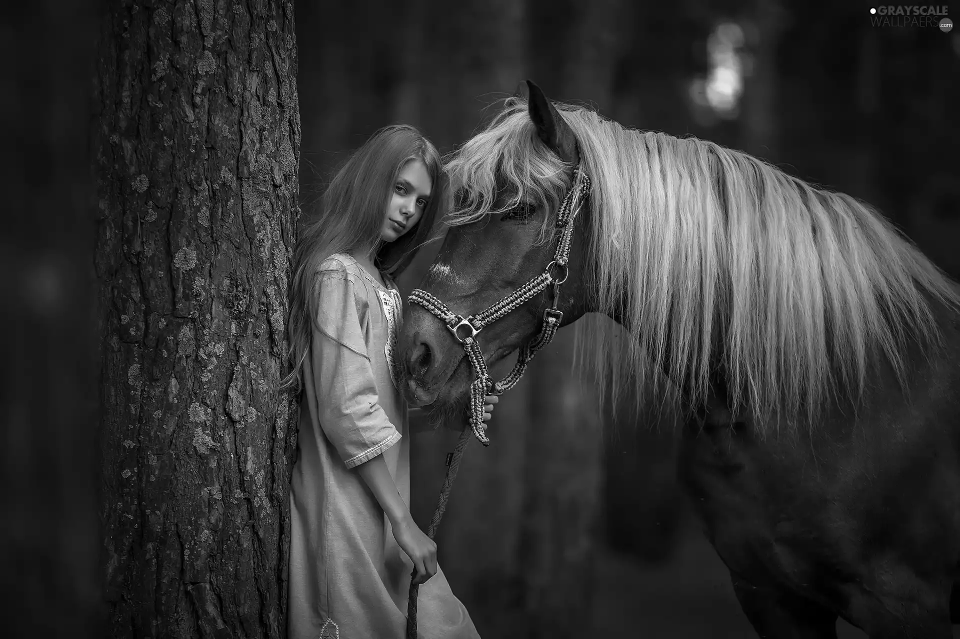 girl, Horse, trees, light brown