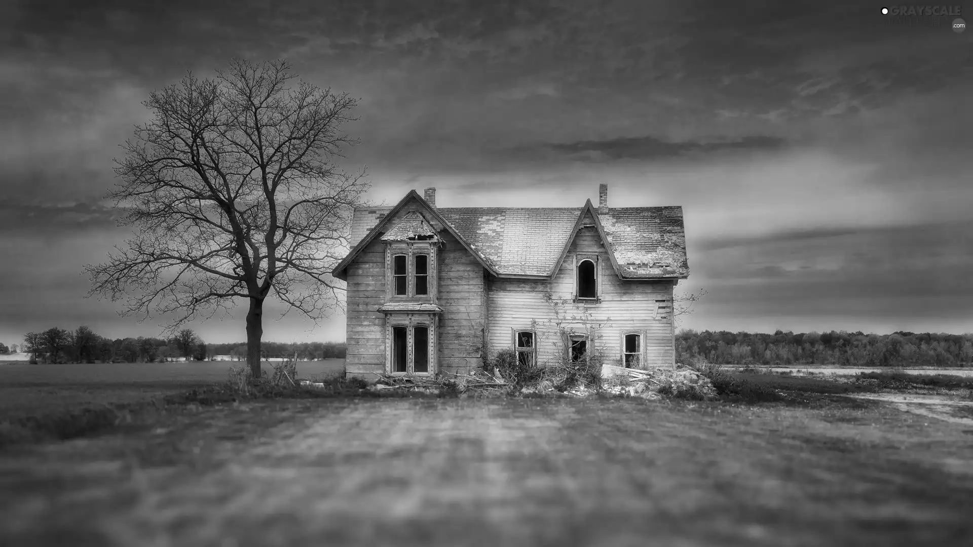 abandoned, house
