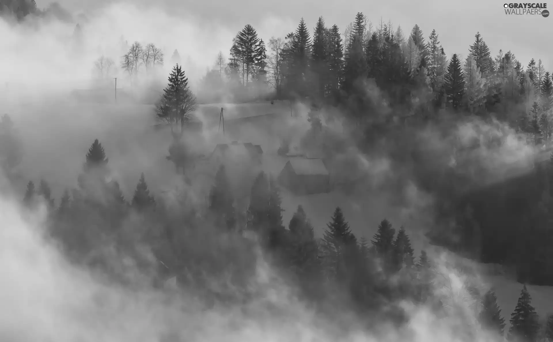 Mountains, winter, viewes, Houses, trees, Fog