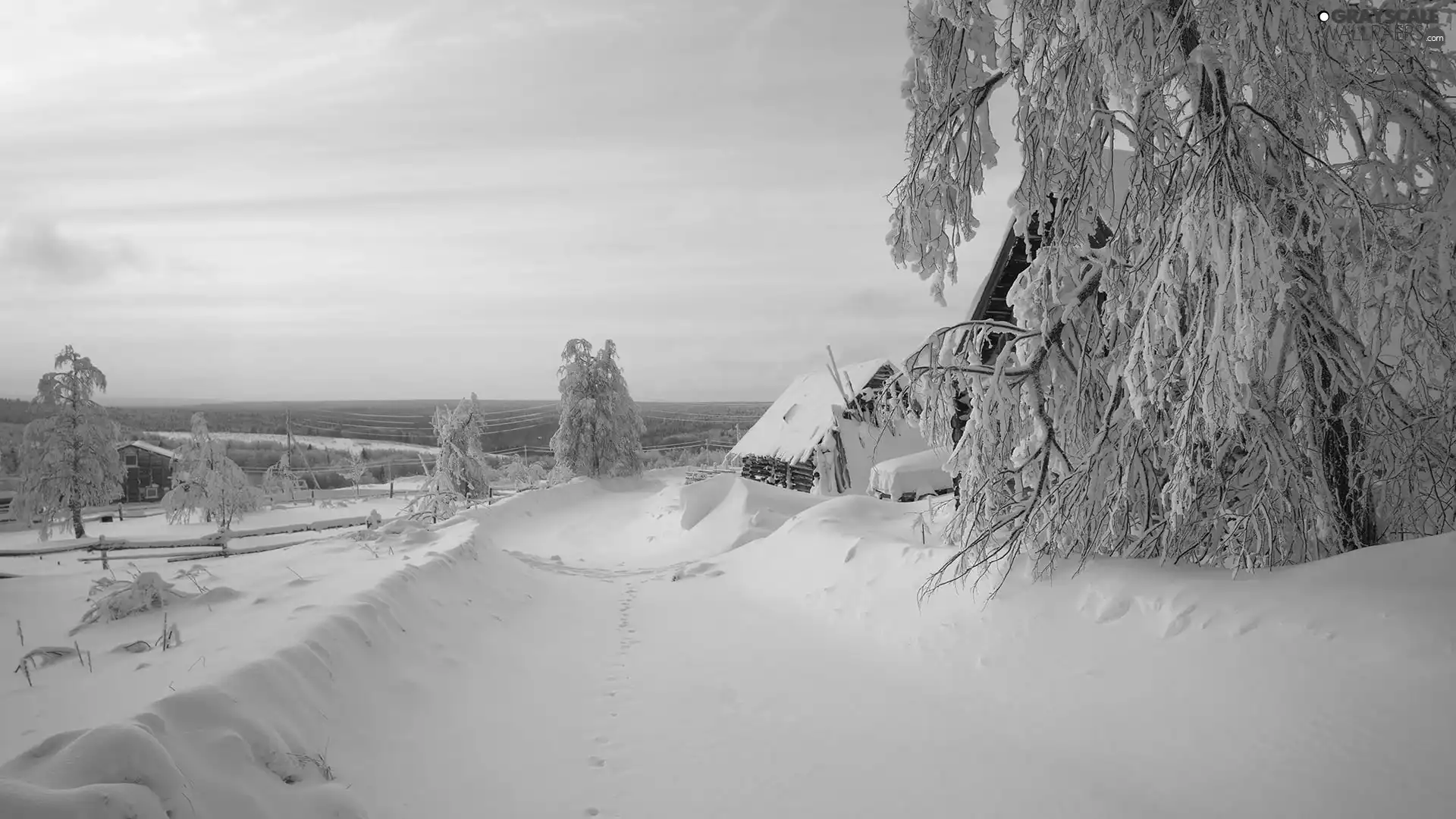 Snowy, Way, viewes, Houses, winter, trees, drifts