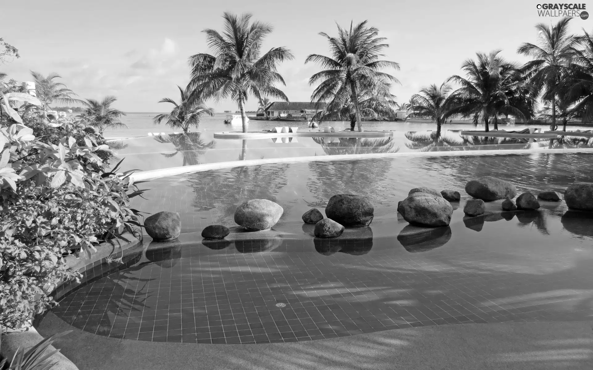 sea, Island, Palms, Beaches, Pool, Maldives, Tropical, spa