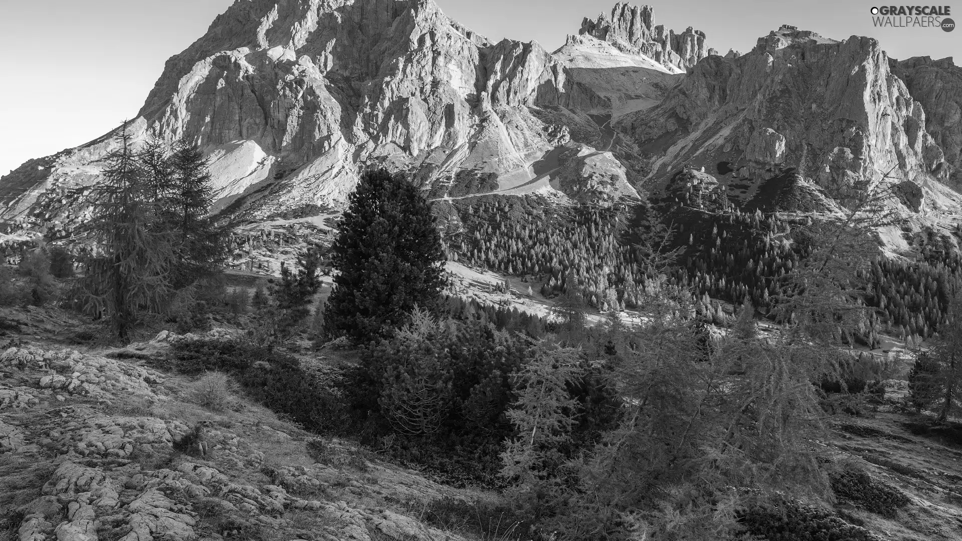 rocks, Mountains, viewes, Italy, trees, Dolomites