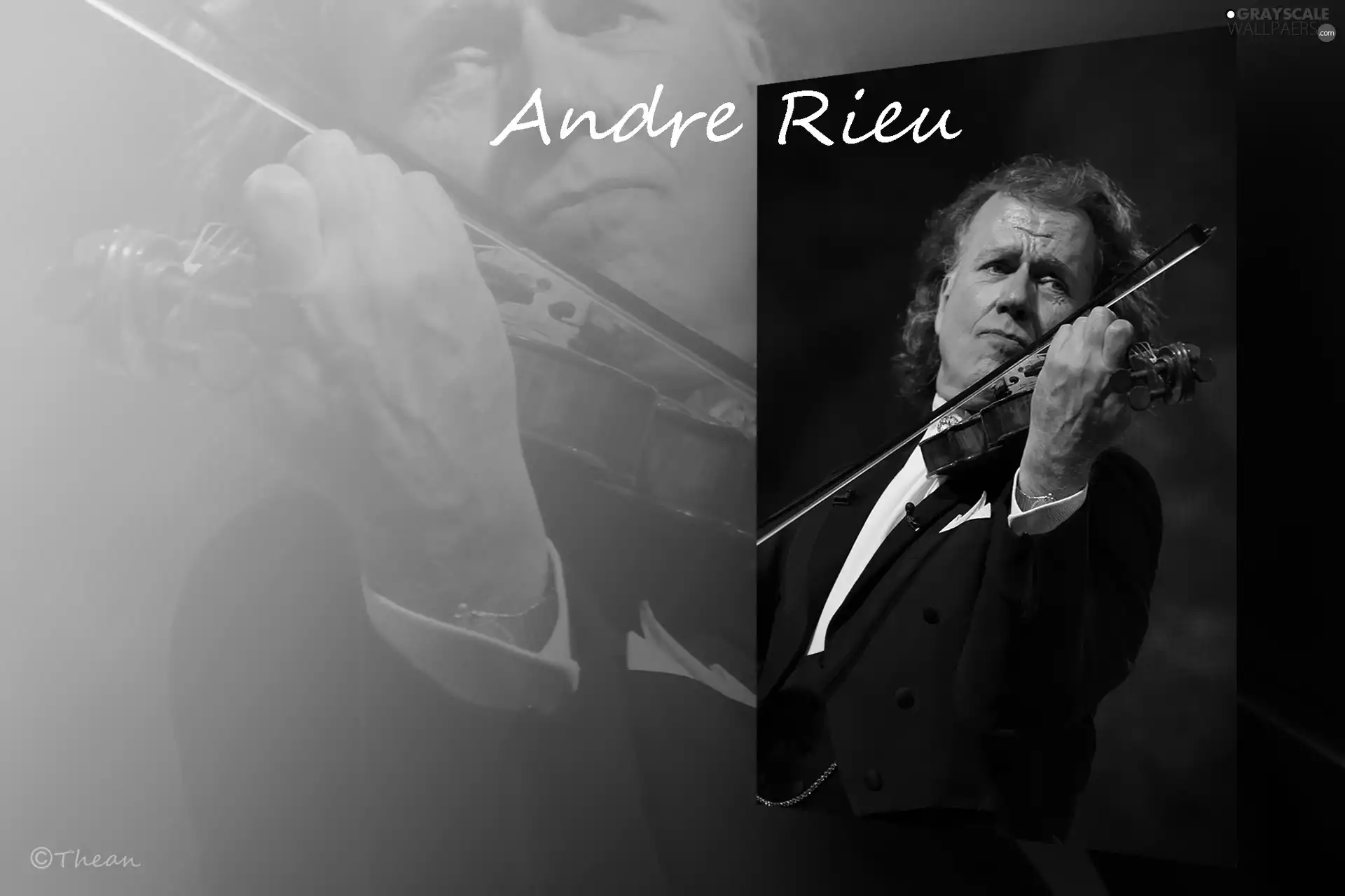 Andre Rieu, Johan Strauss Orchestra, violin, violinist