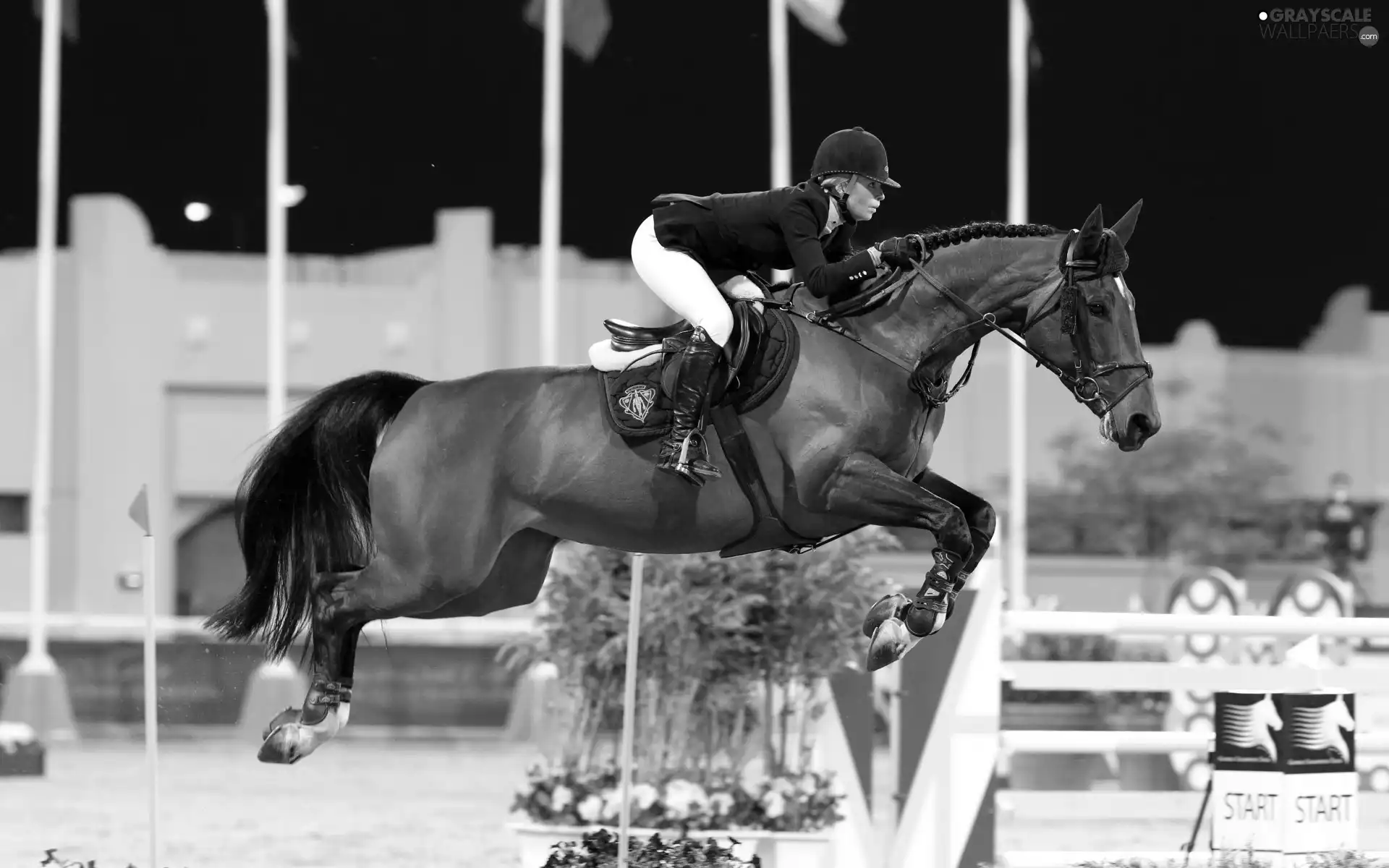 jump, obstacle, Horse, horsemanship, jockey