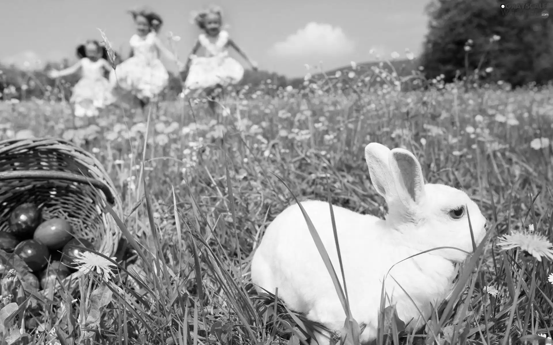 Kids, Meadow, Rabbit, eggs, Easter