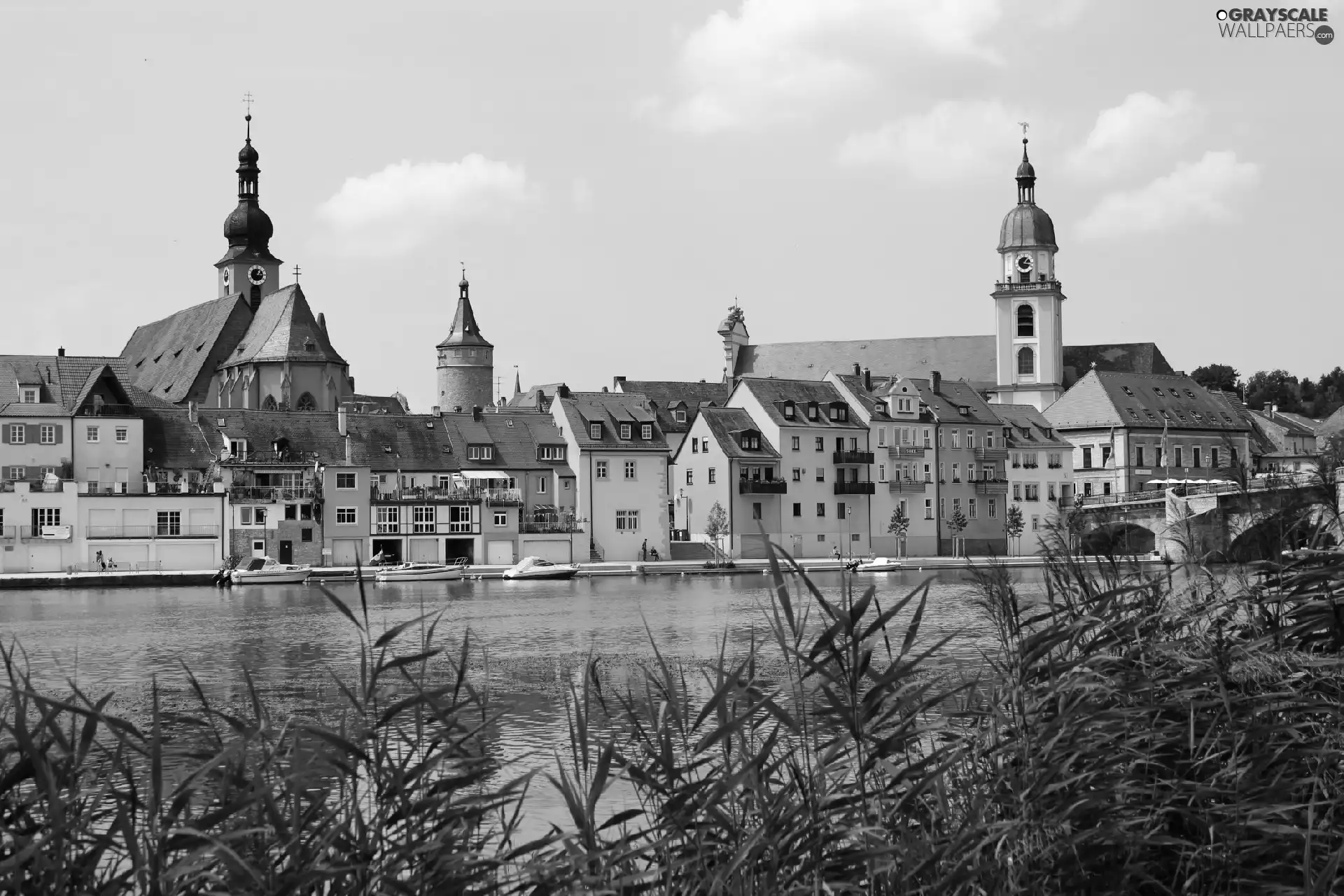 Kitzingen, panorama, town