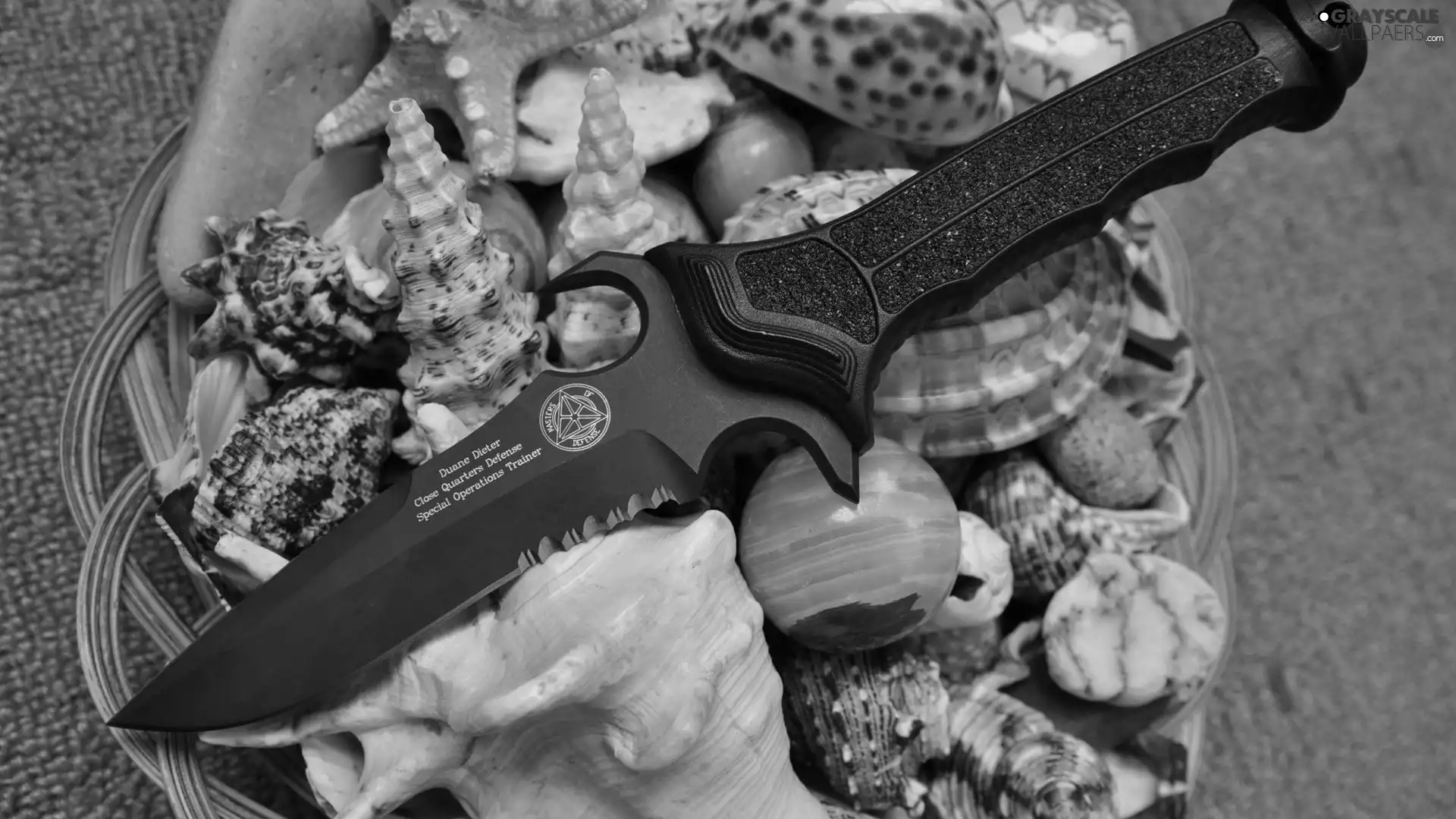 Shells, knife