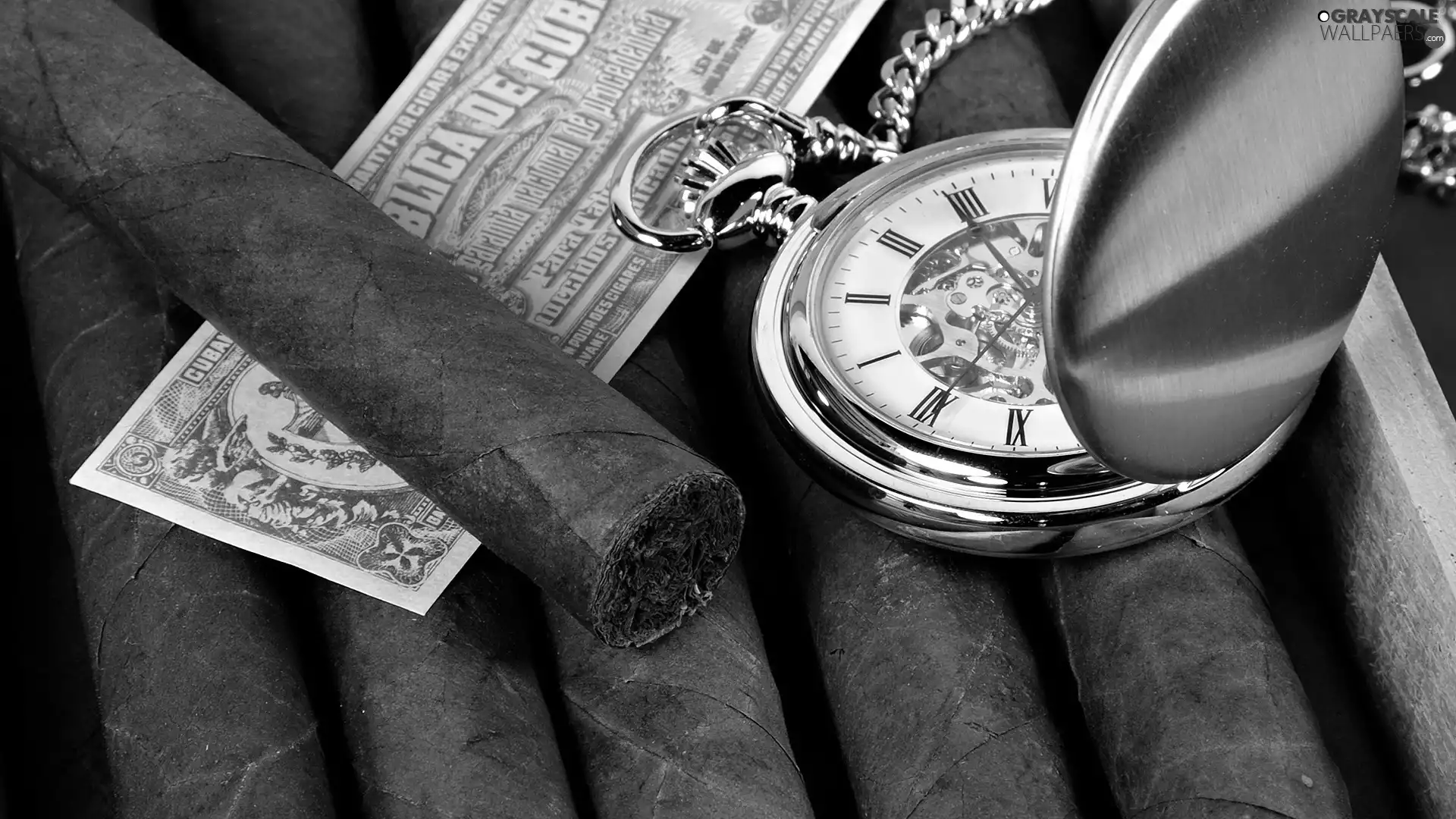 label, Cigars, Watch