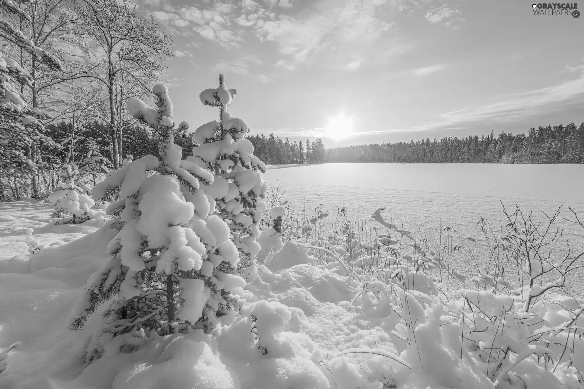 Snowy, trees, clouds, viewes, Sunrise, forest, winter, lake