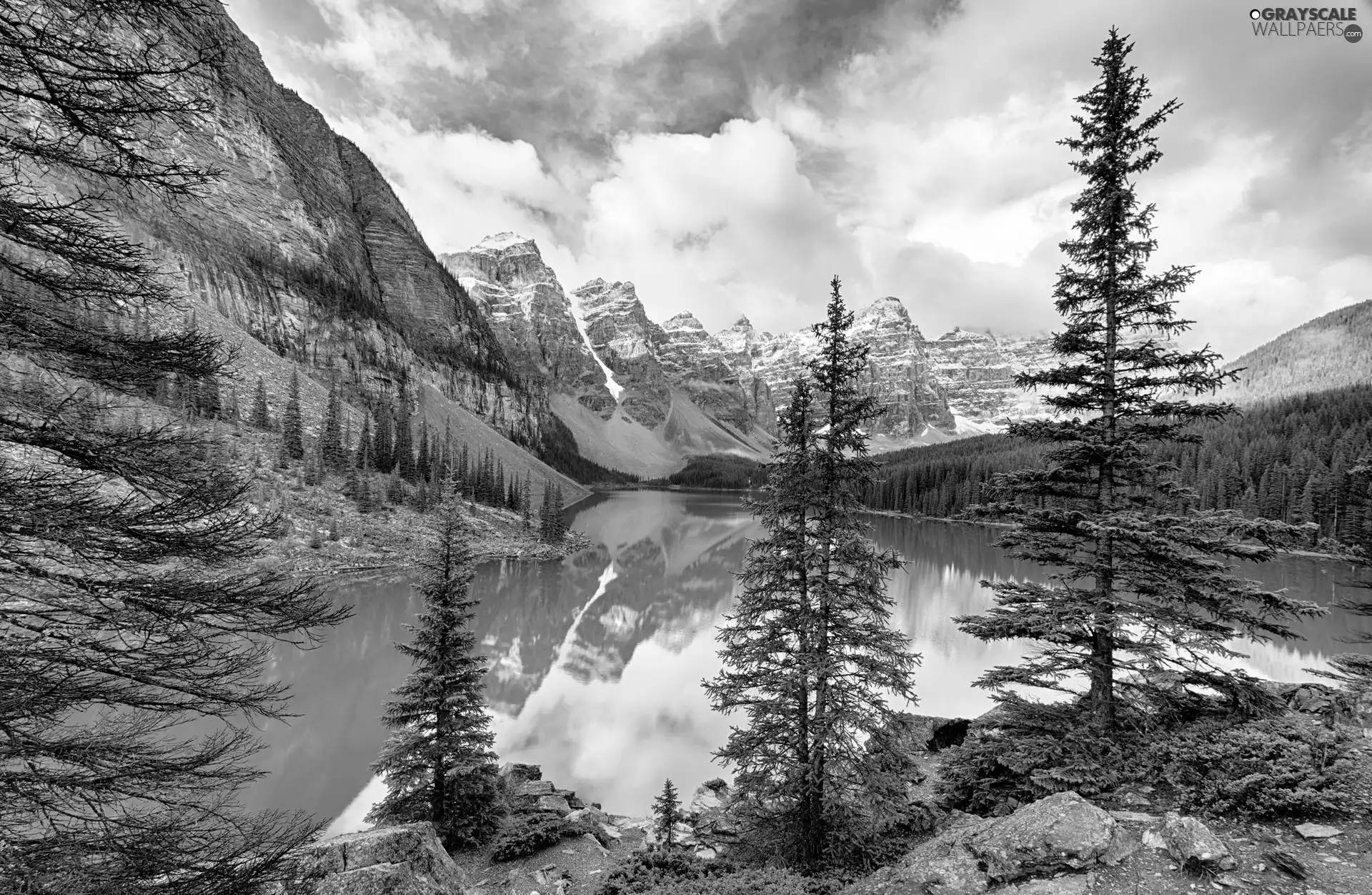 Banff National Park, Lake Moraine, Mountains, forest, viewes, Province of Alberta, Canada, trees