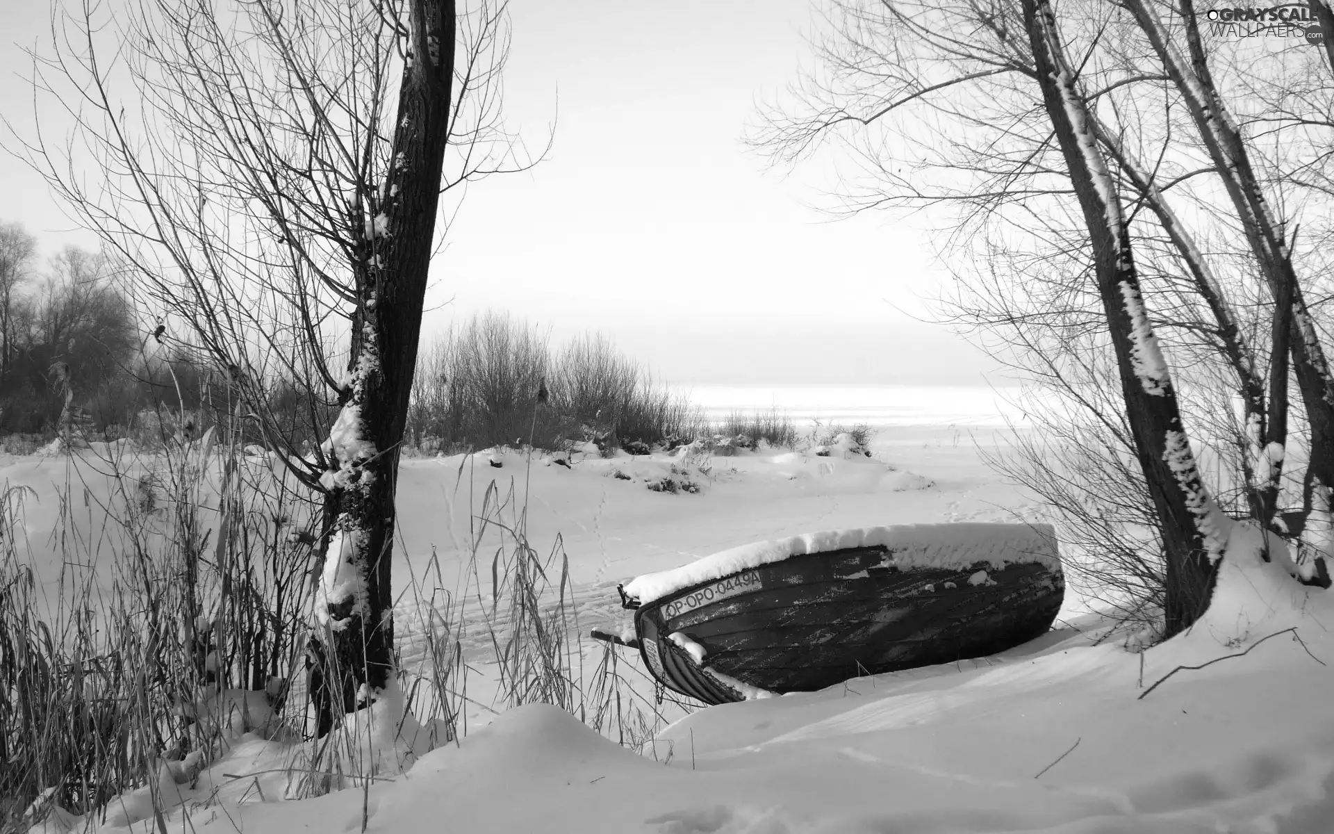 lake, winter, trees, viewes, Lodz
