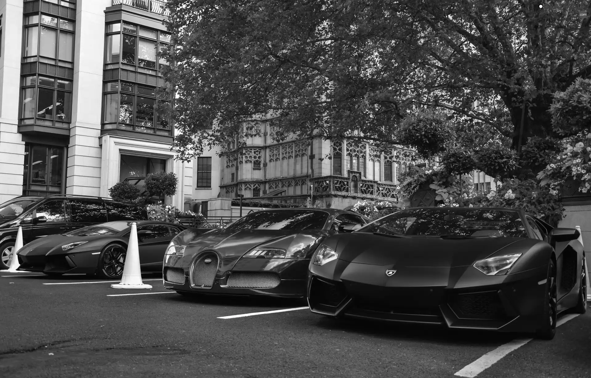 blue, Black, Lamborghini Aventador, Bugatti Veyron