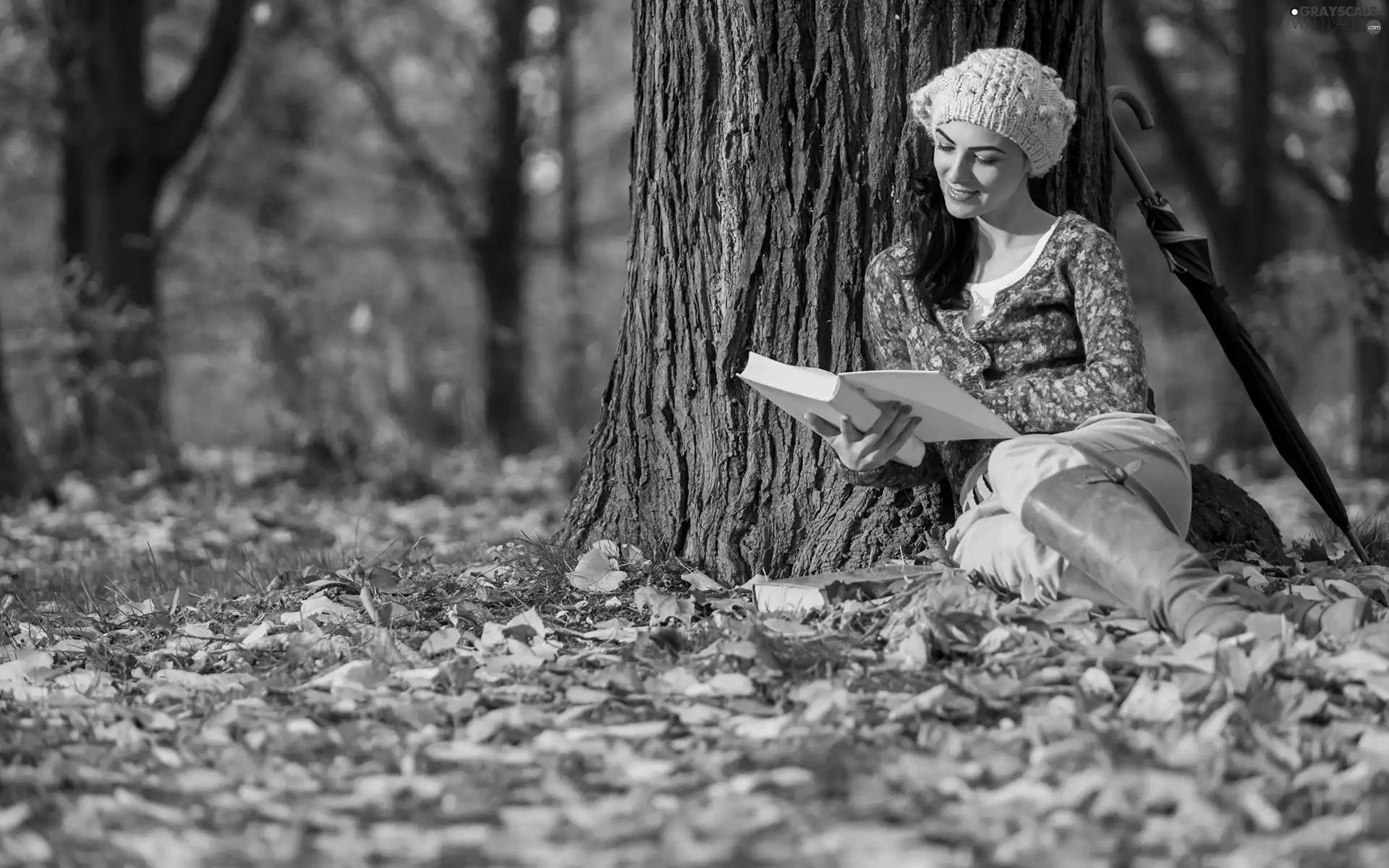 Book, Leaf, forest, Women, autumn