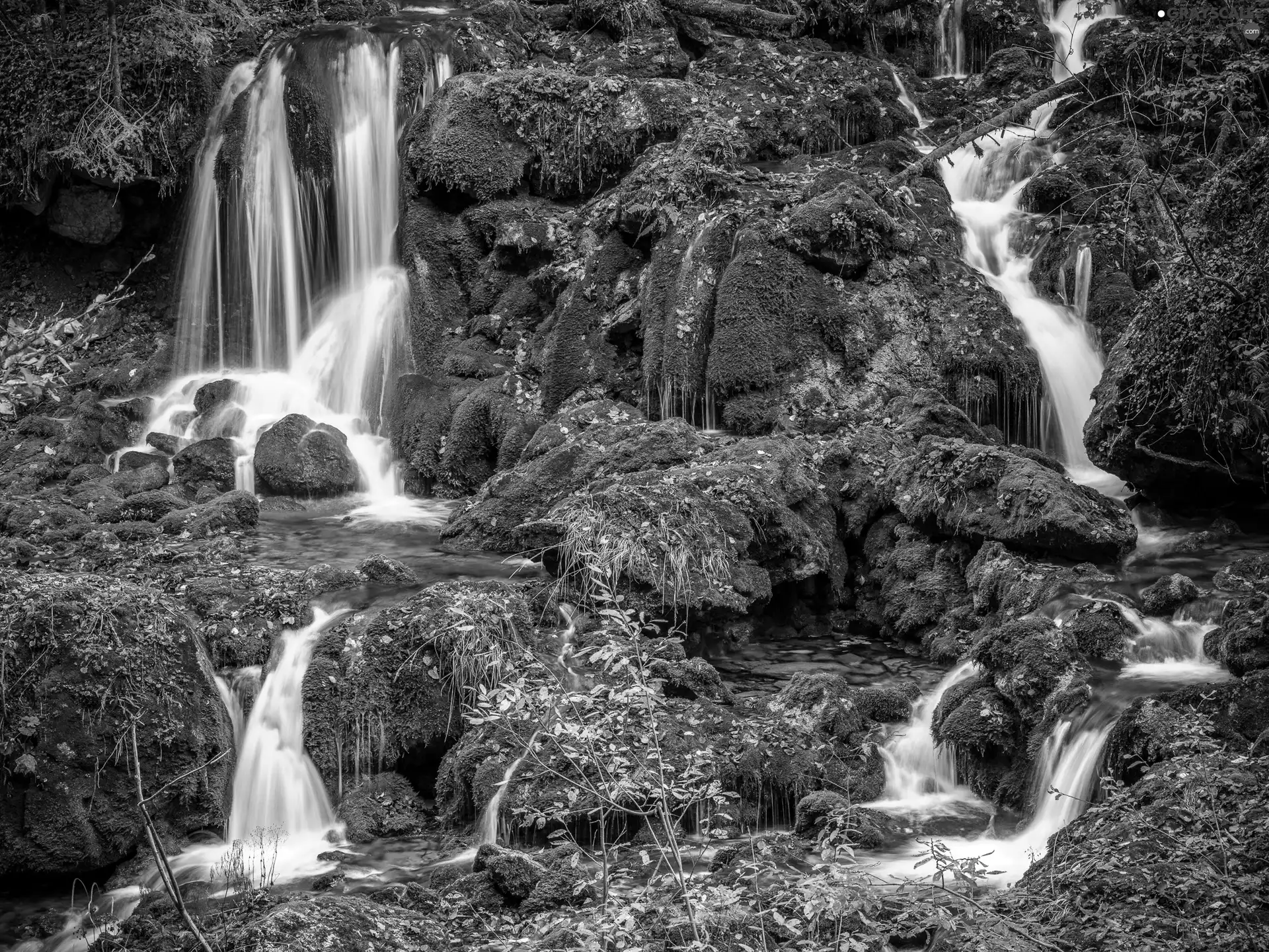 fallen, Leaf, mossy, rocks, waterfalls