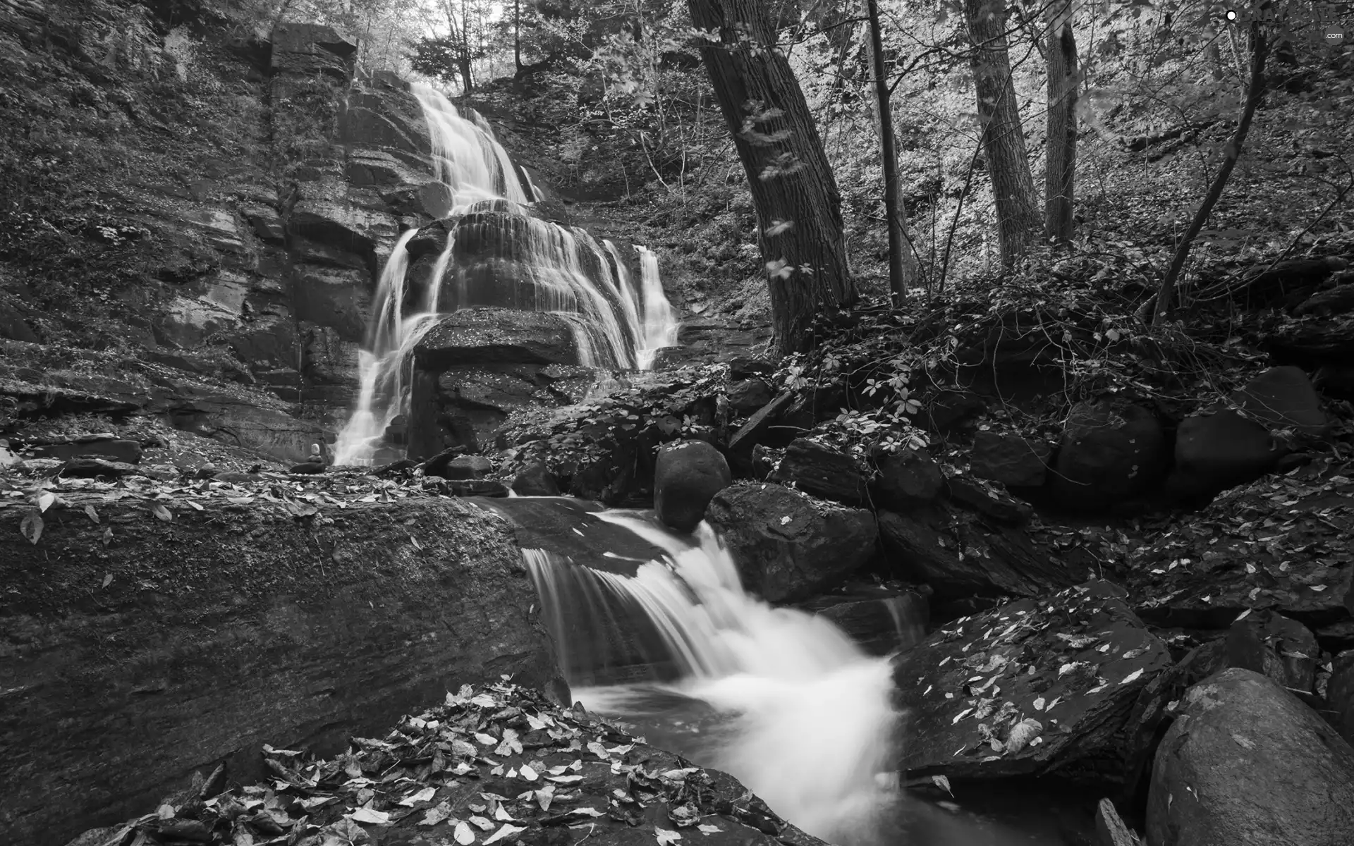 rocks, waterfall, fallen, Leaf, forest, Stones