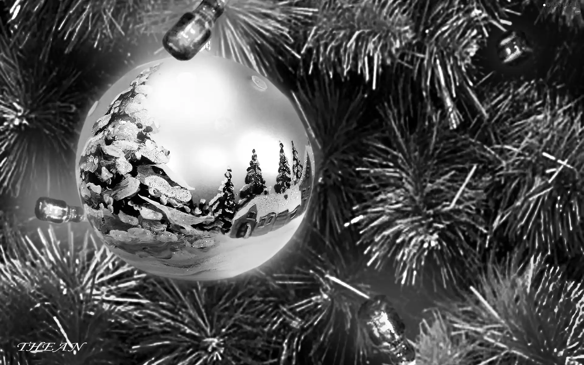 christmas tree, bauble, lights