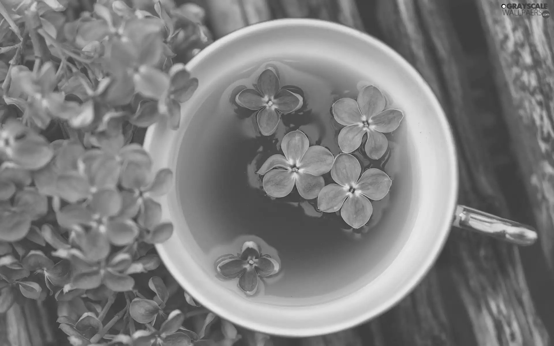 cup, Flowers, lilac, tea
