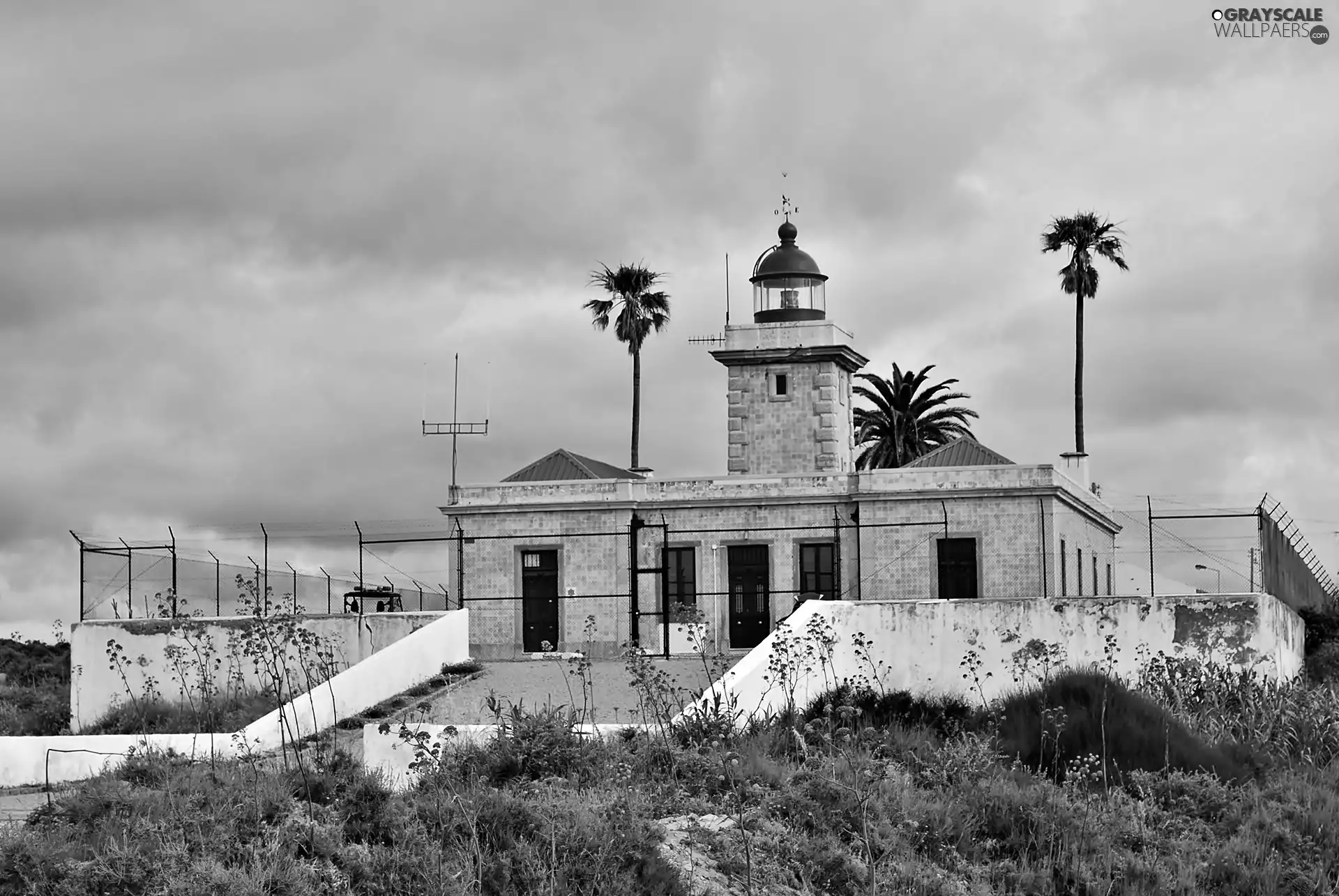 maritime, VEGETATION, Da Piedade, Lighthouse, Ponta