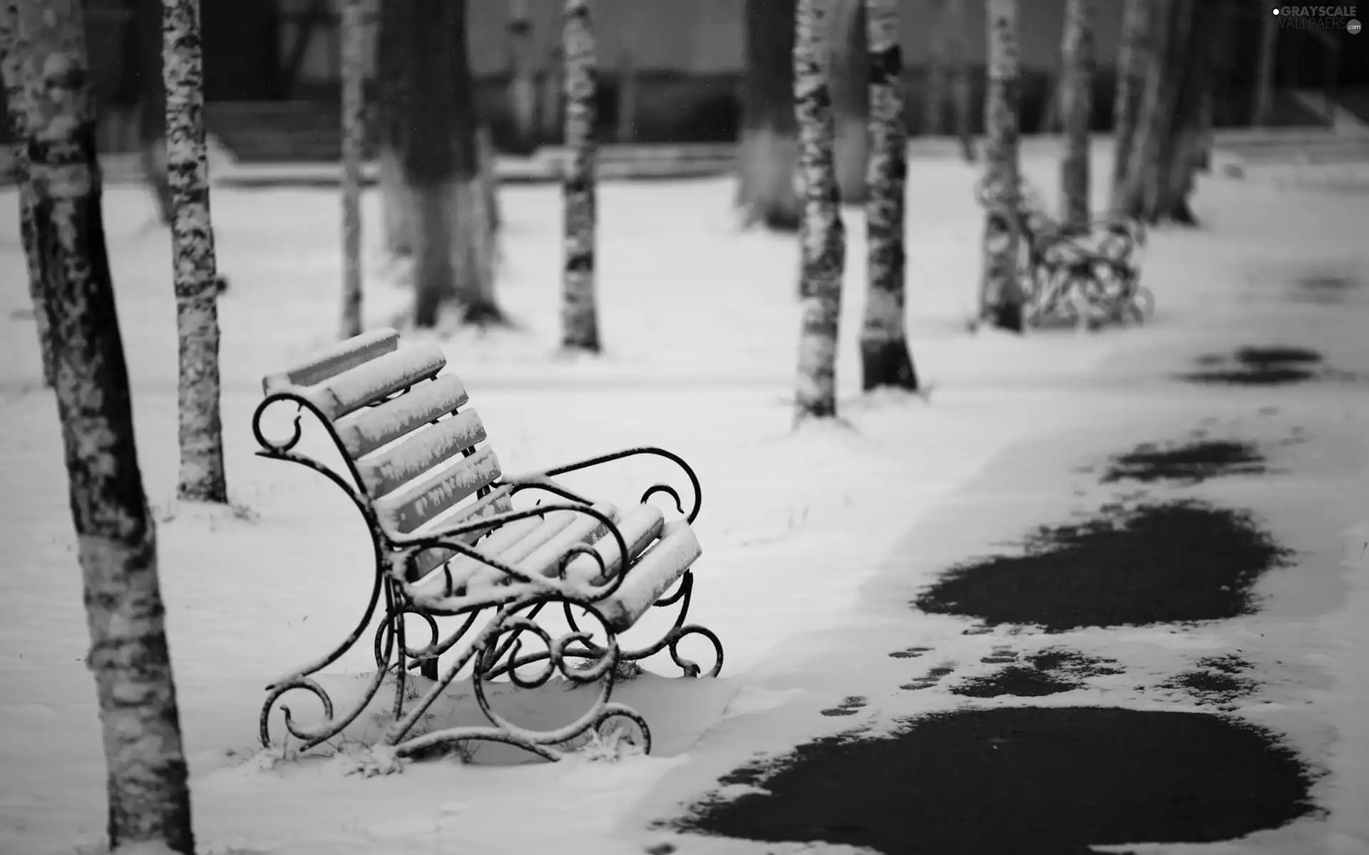 winter, Park, melting, snow, bench, birch