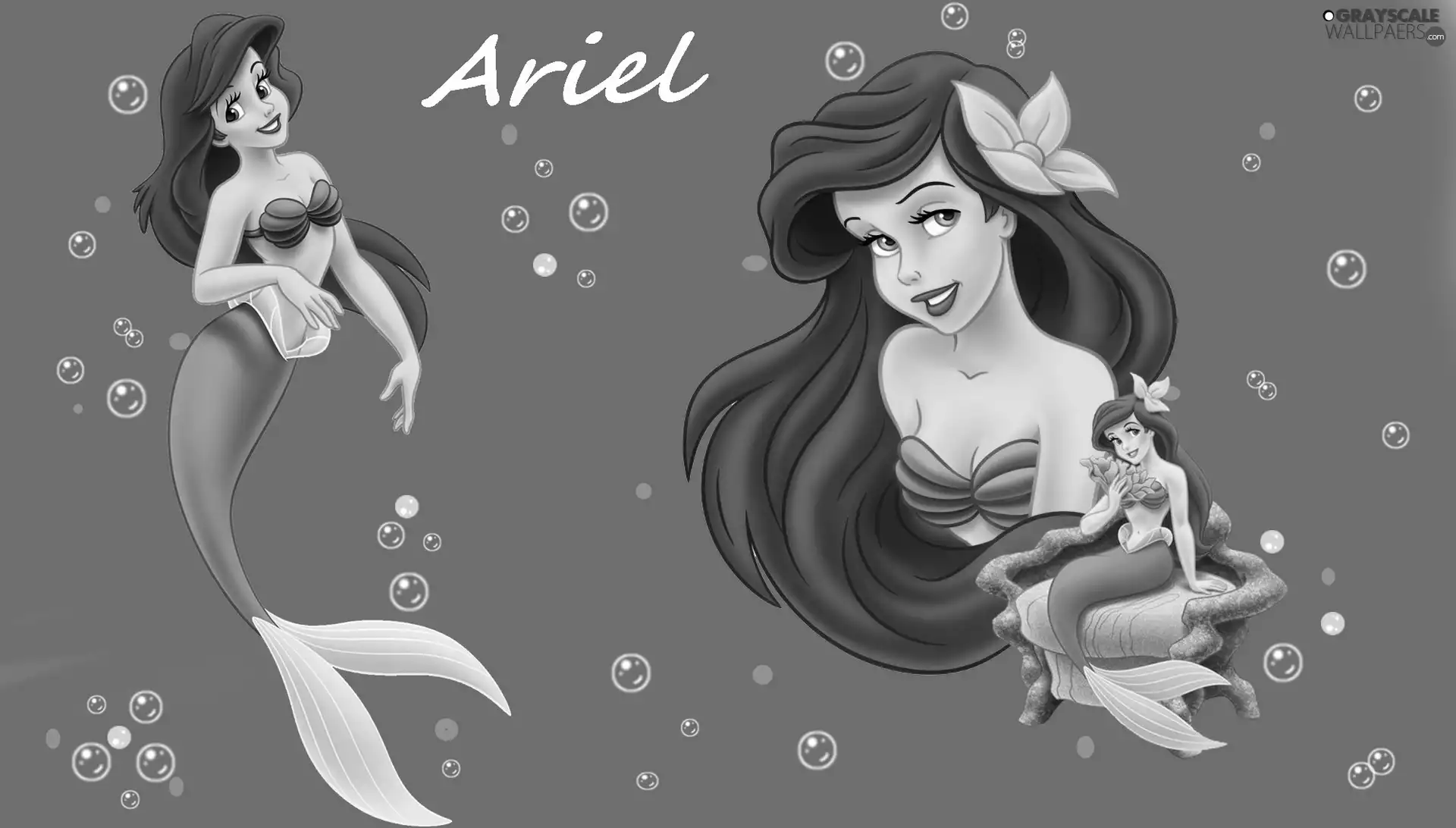 story, The Little Mermaid, ariel, The Little Mermaid