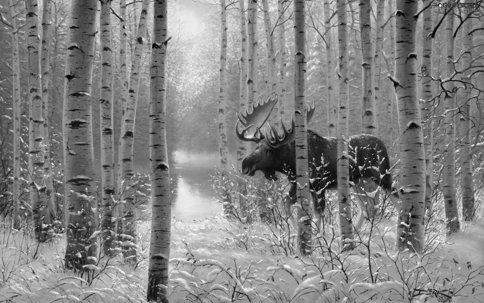 winter, water, moose, forest