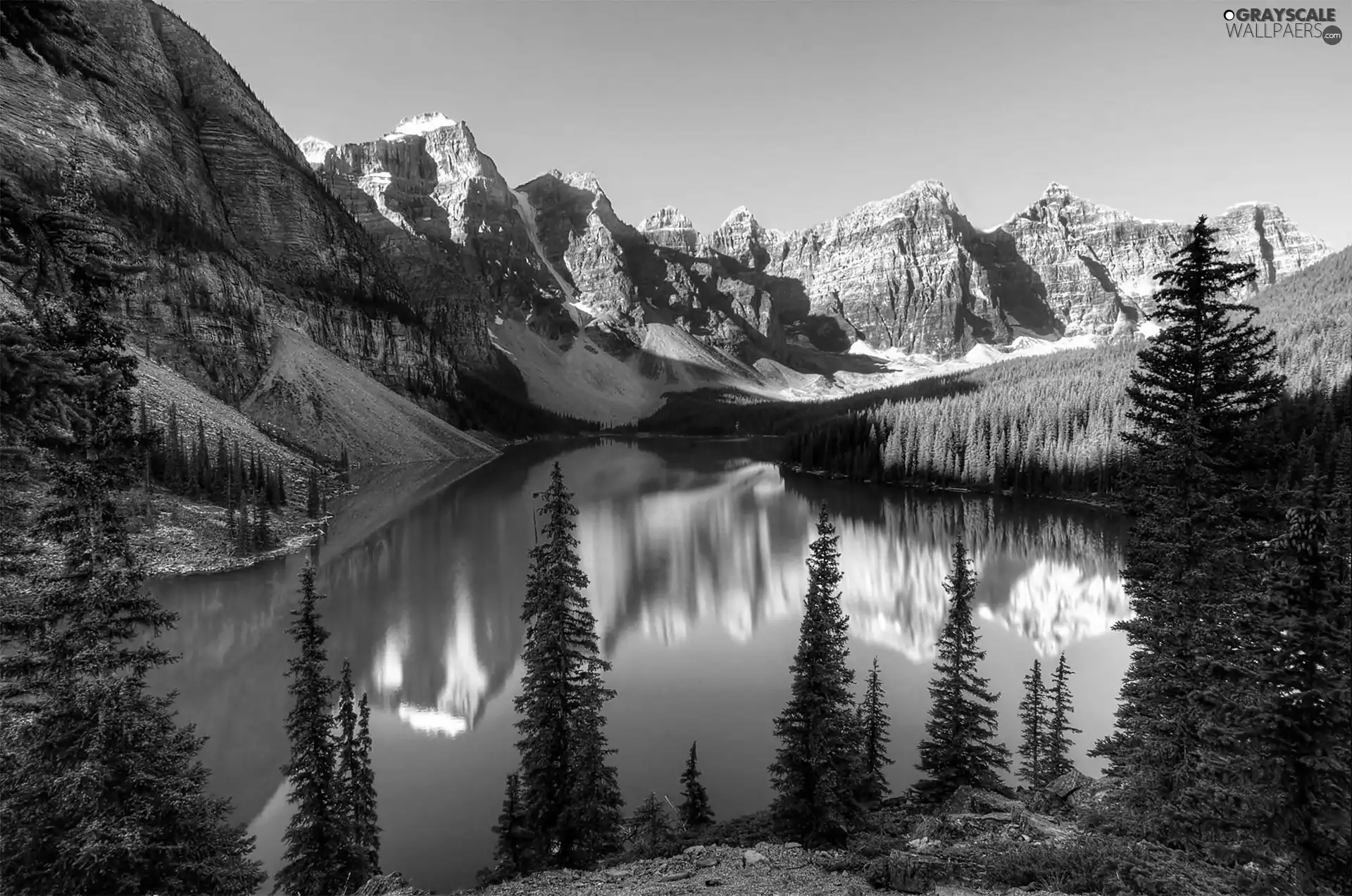 woods, Banff National Park, Spruces, Mountains, Canada, Lake Moraine, reflection