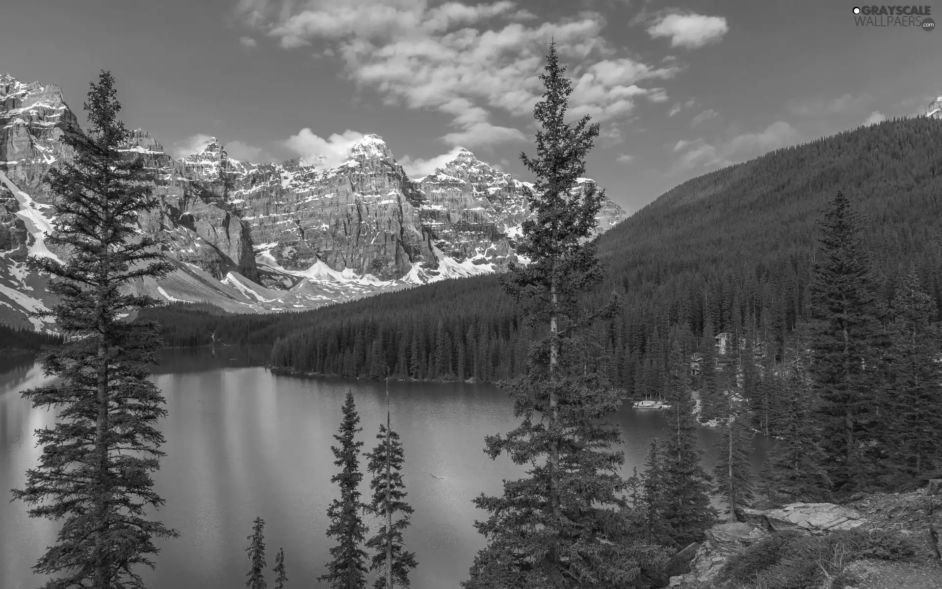Spruces, lake, forest, Province of Alberta, trees, Mountains, Moraine Lake, Canada, Banff National Park, viewes