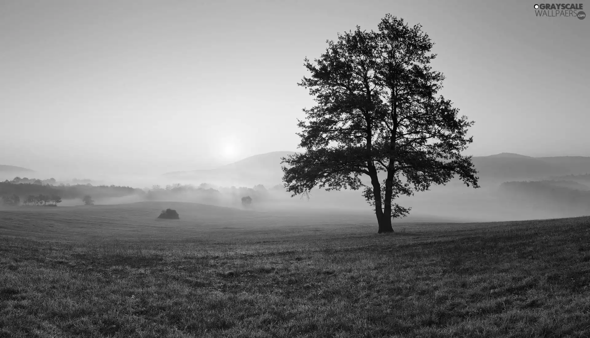 Field, Sunrise, viewes, Mountains, trees, Fog