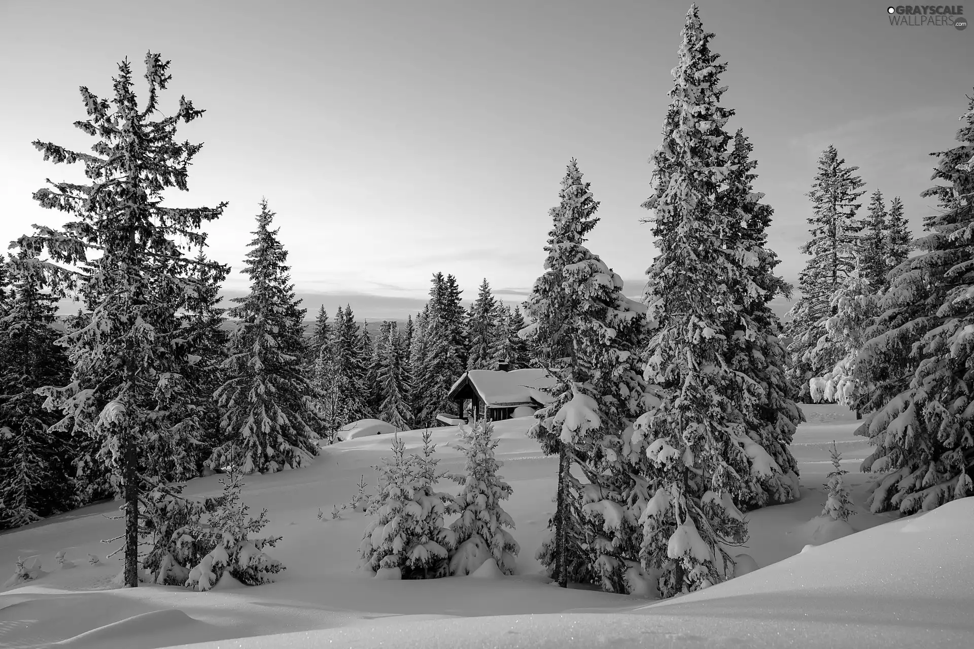 trees, viewes, winter, forest, Sunrise, Snowy, house, Mountains