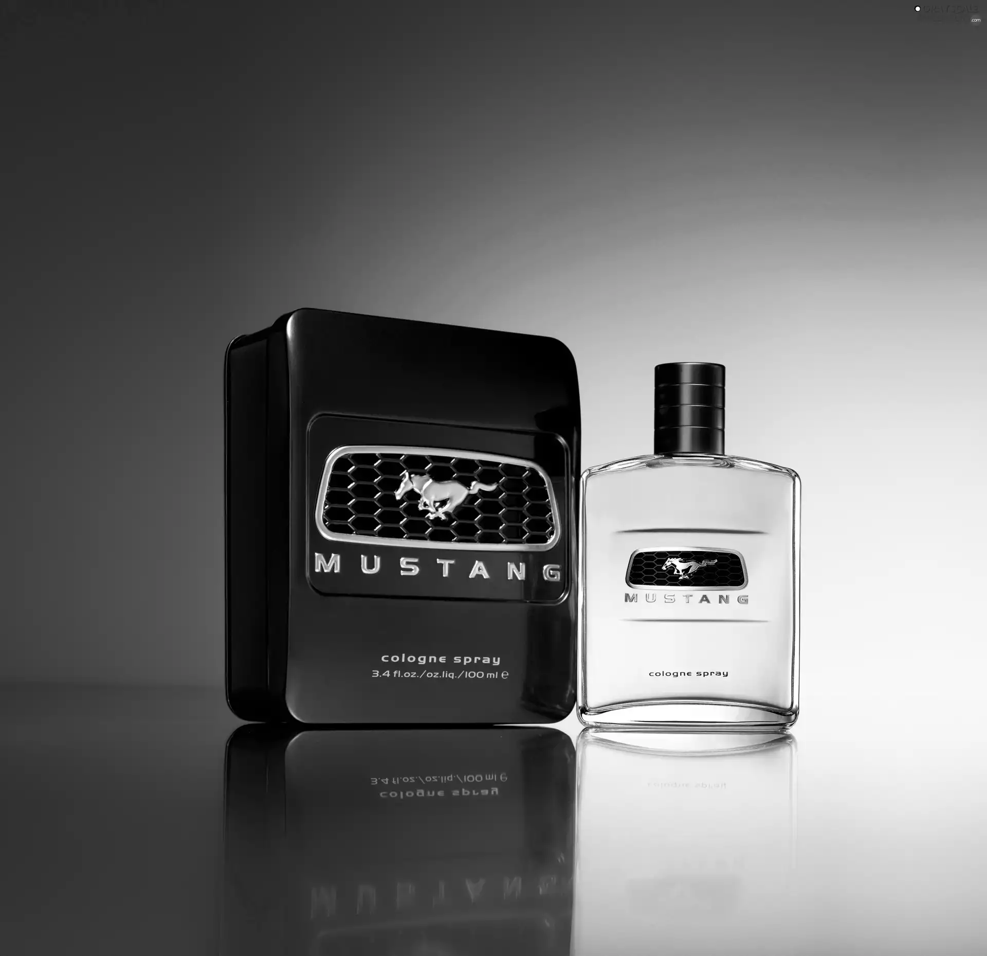 water, shave, Mustang, Po