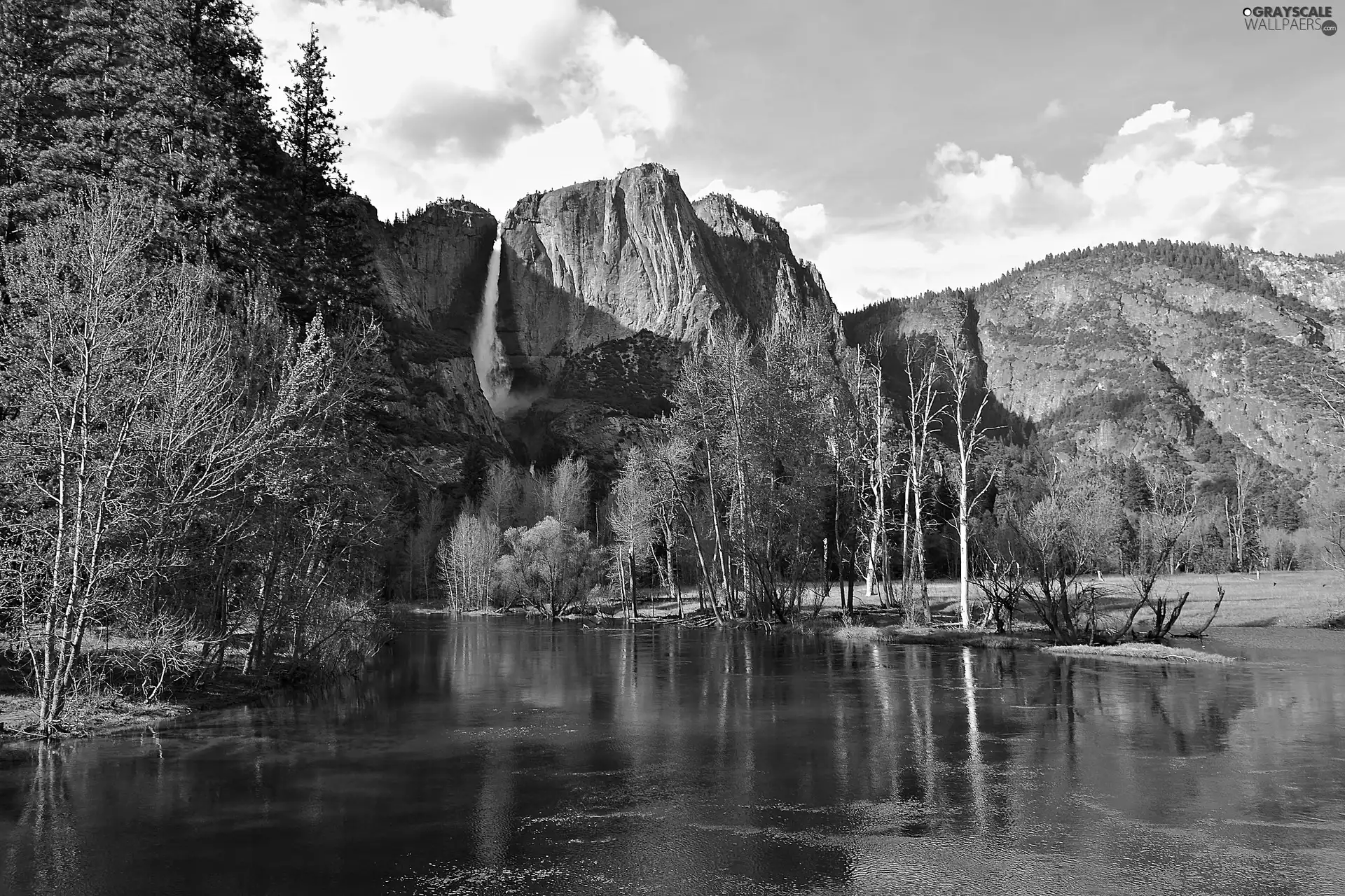 Yosemite National Park, The United States, River, forest, Mountains, State of California