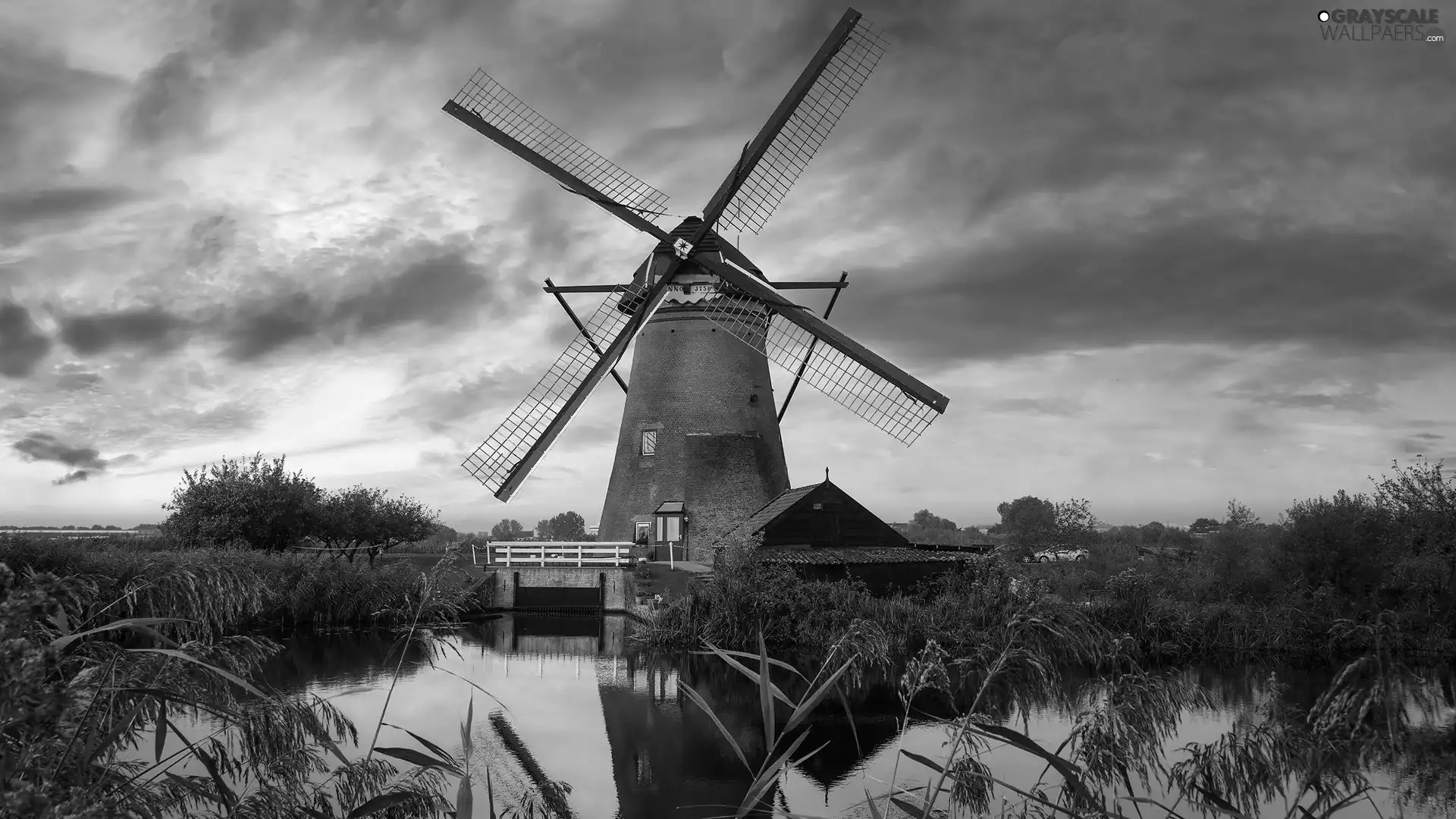 bridge, Windmill, Kinderdijk, Netherlands, Plants, River