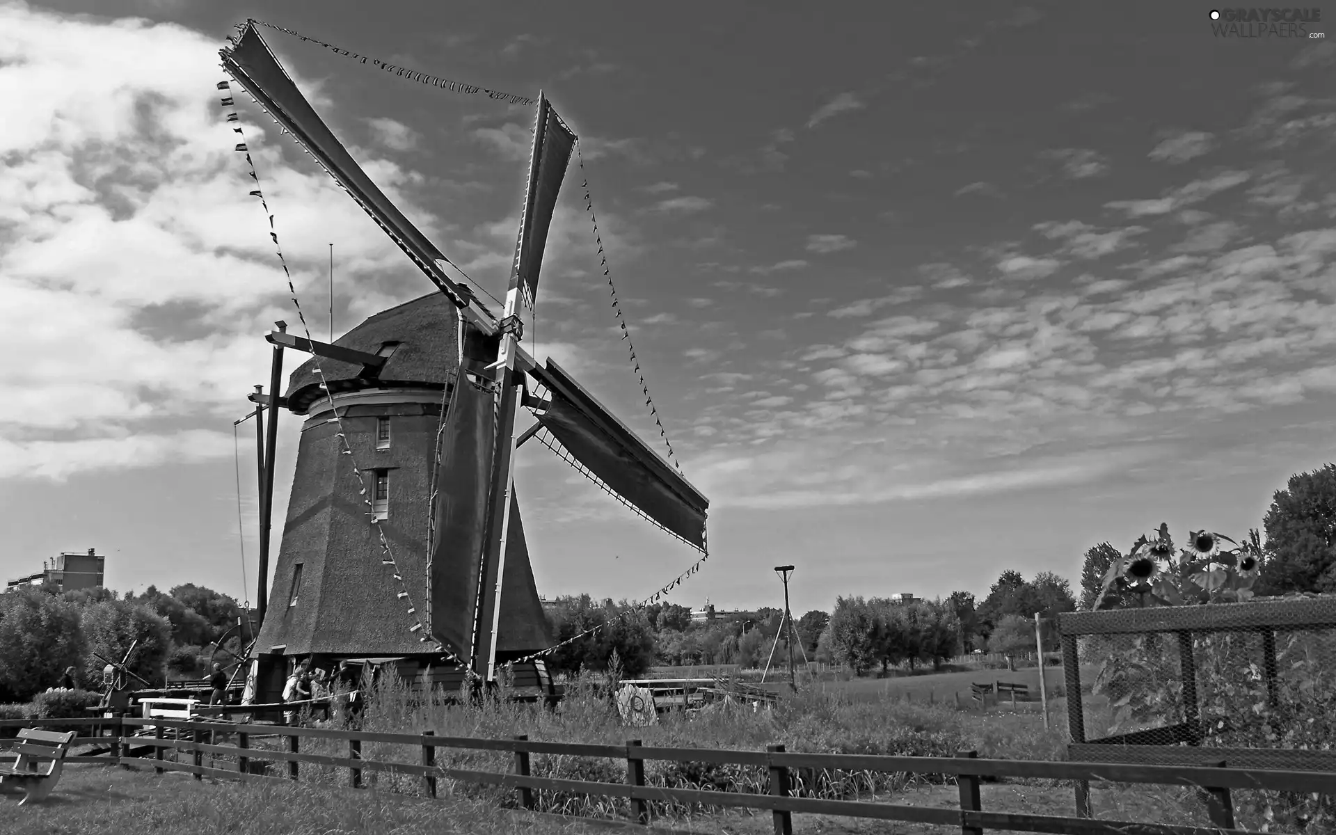 Netherlands, Windmill, Windmill