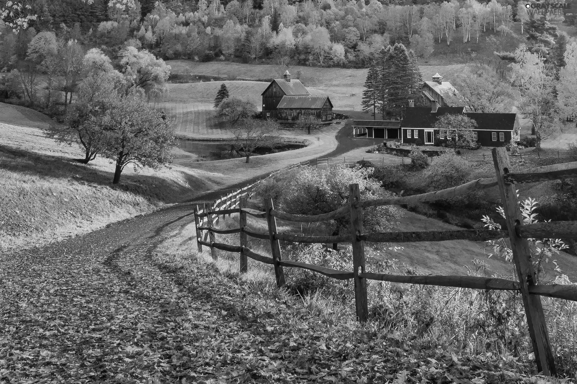 fallen, trees, State of Vermont, fence, The United States, Pomfret, Way, Leaf, Pond - car, autumn, viewes, New England, Houses