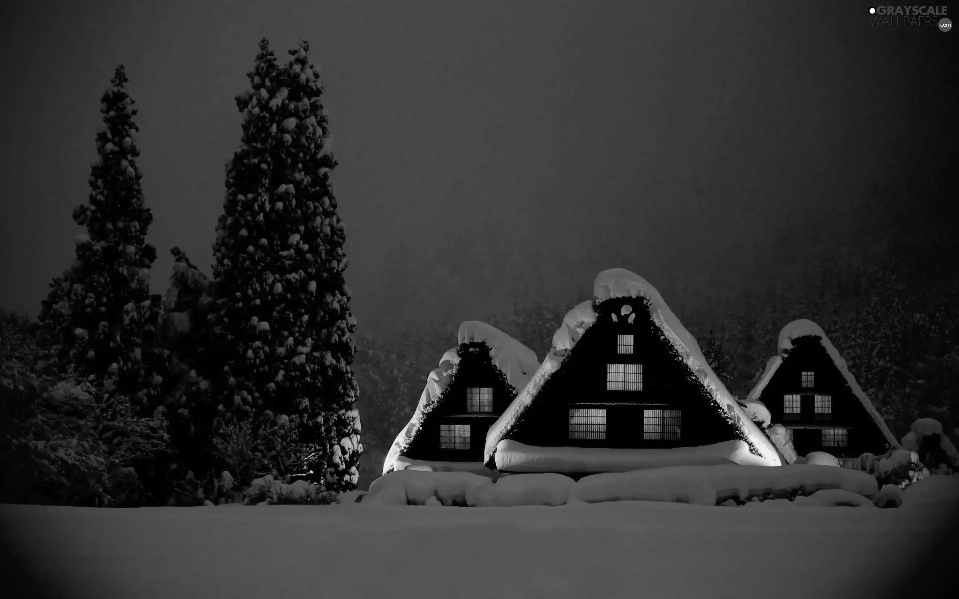 Night, winter, Houses, forest, illuminated