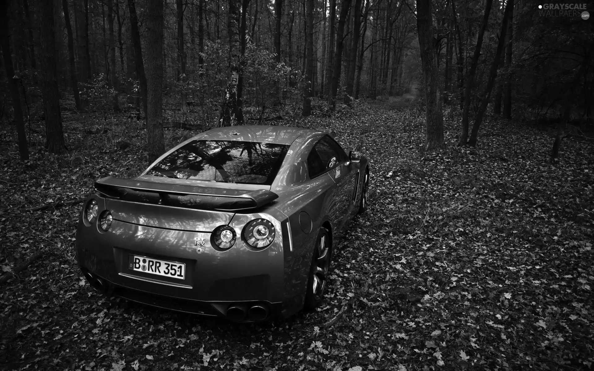 Nissan GTR, forest