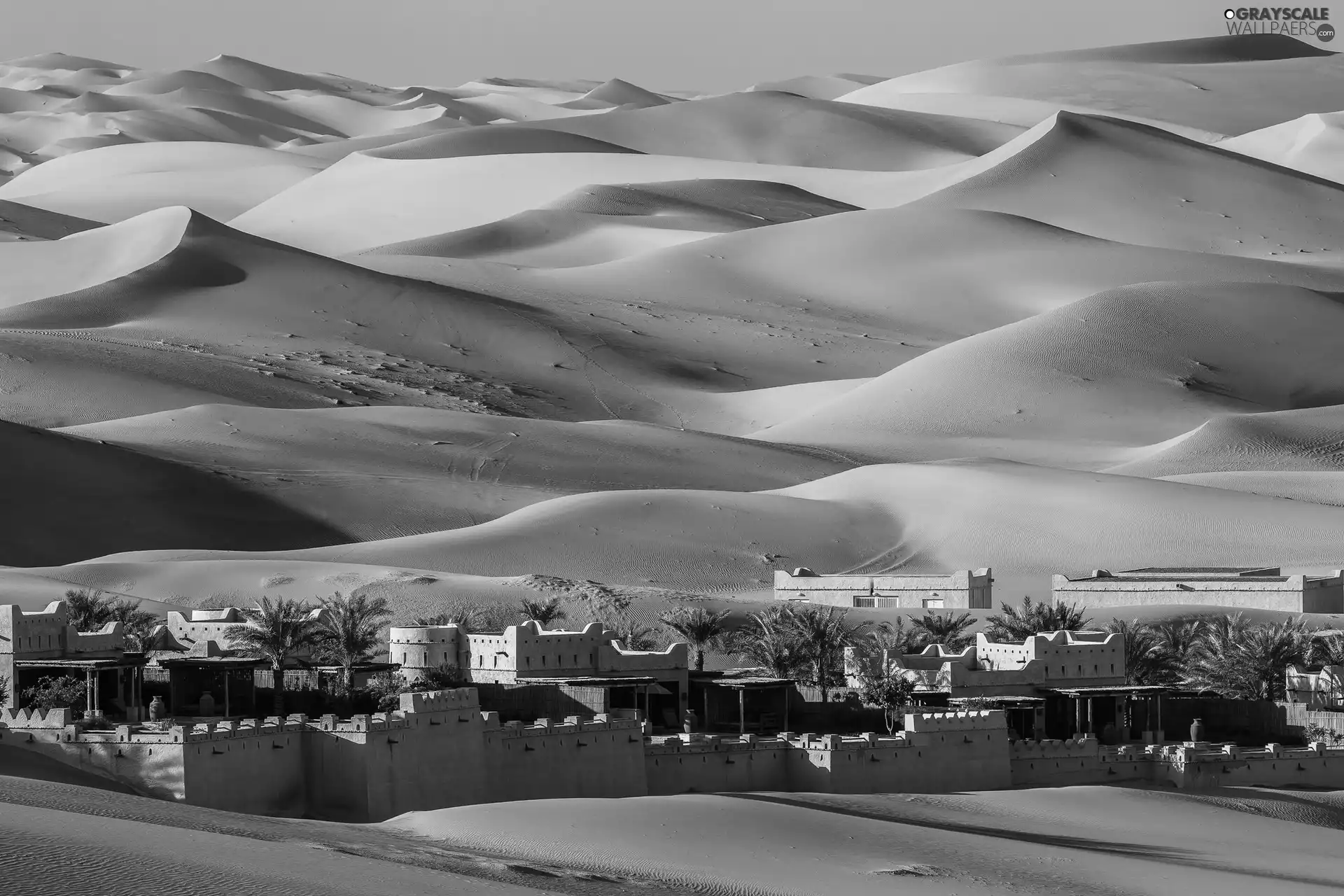 oasis, Desert, Dunes