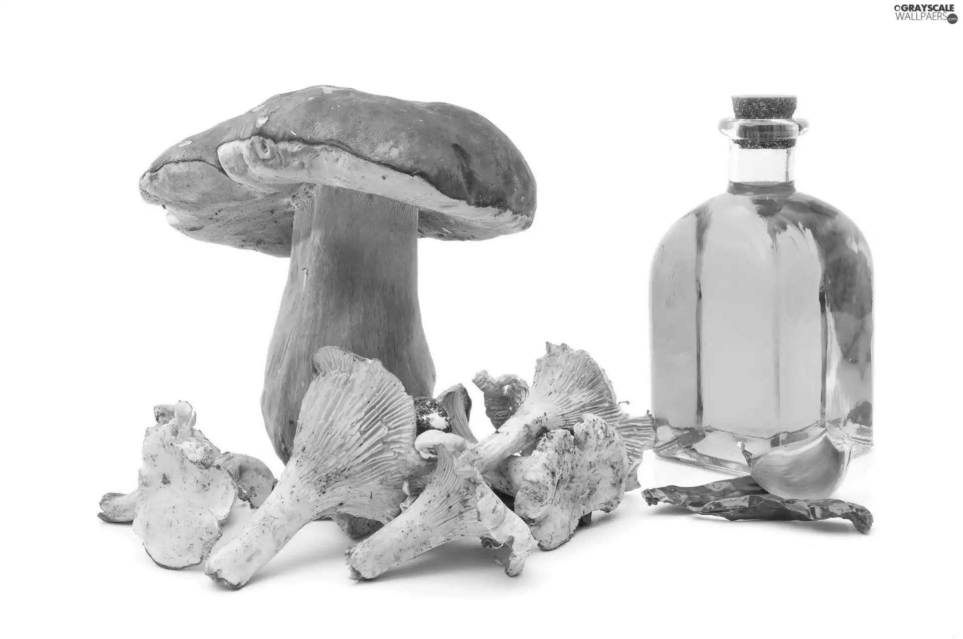 oil, mushrooms, forester