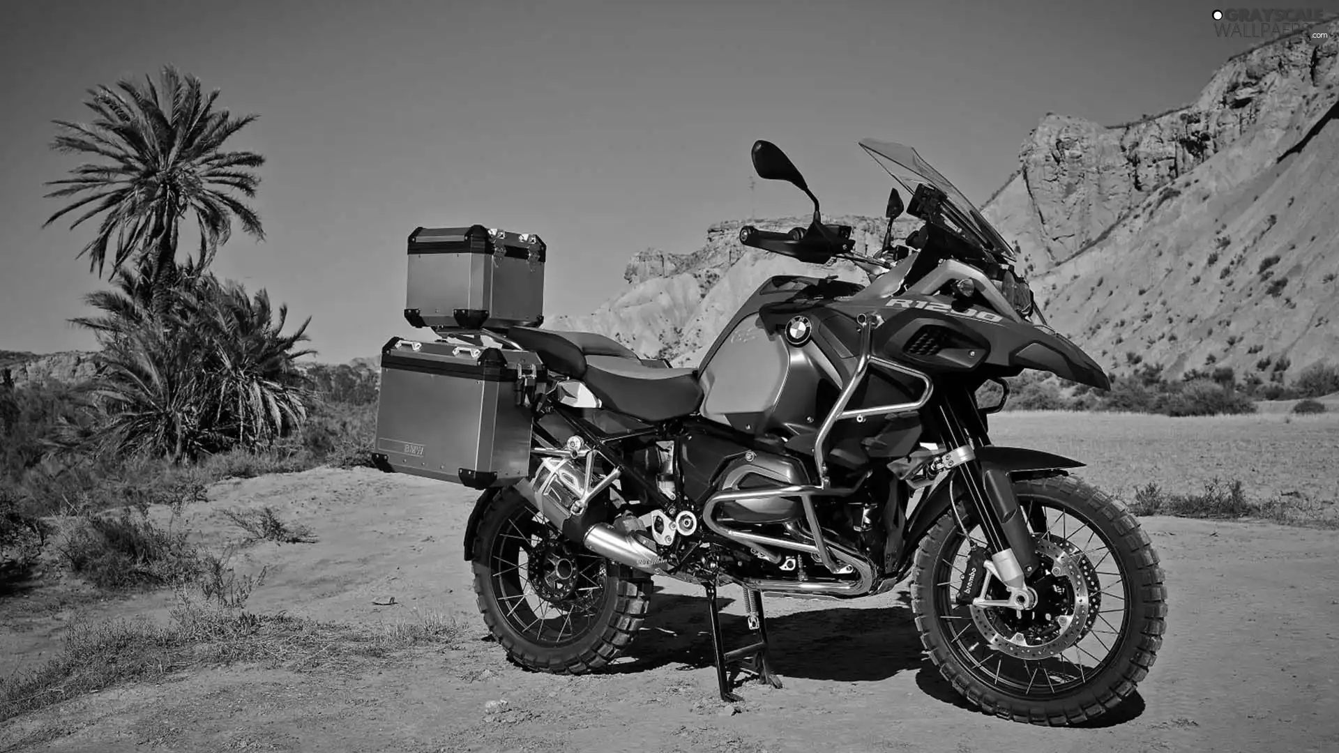 motor-bike, trunks, Palms, BMW R1200GS