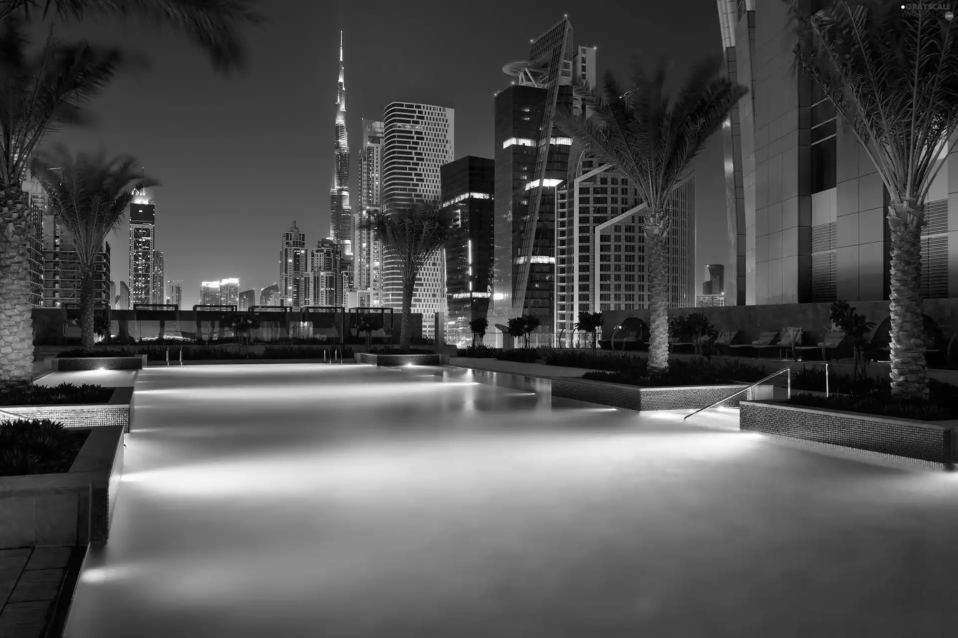 Dubaj, Pool, Palms, skyscraper