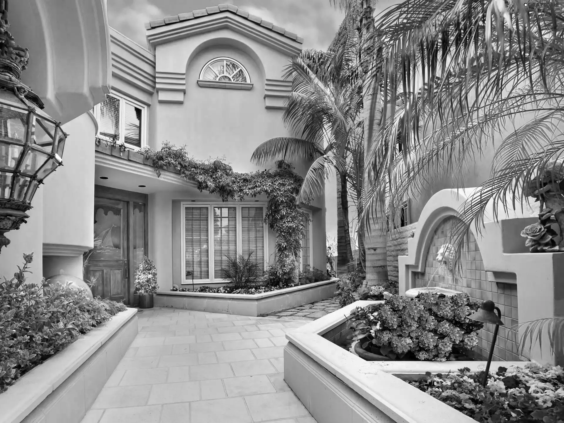 patio, Flowers, Palms, house