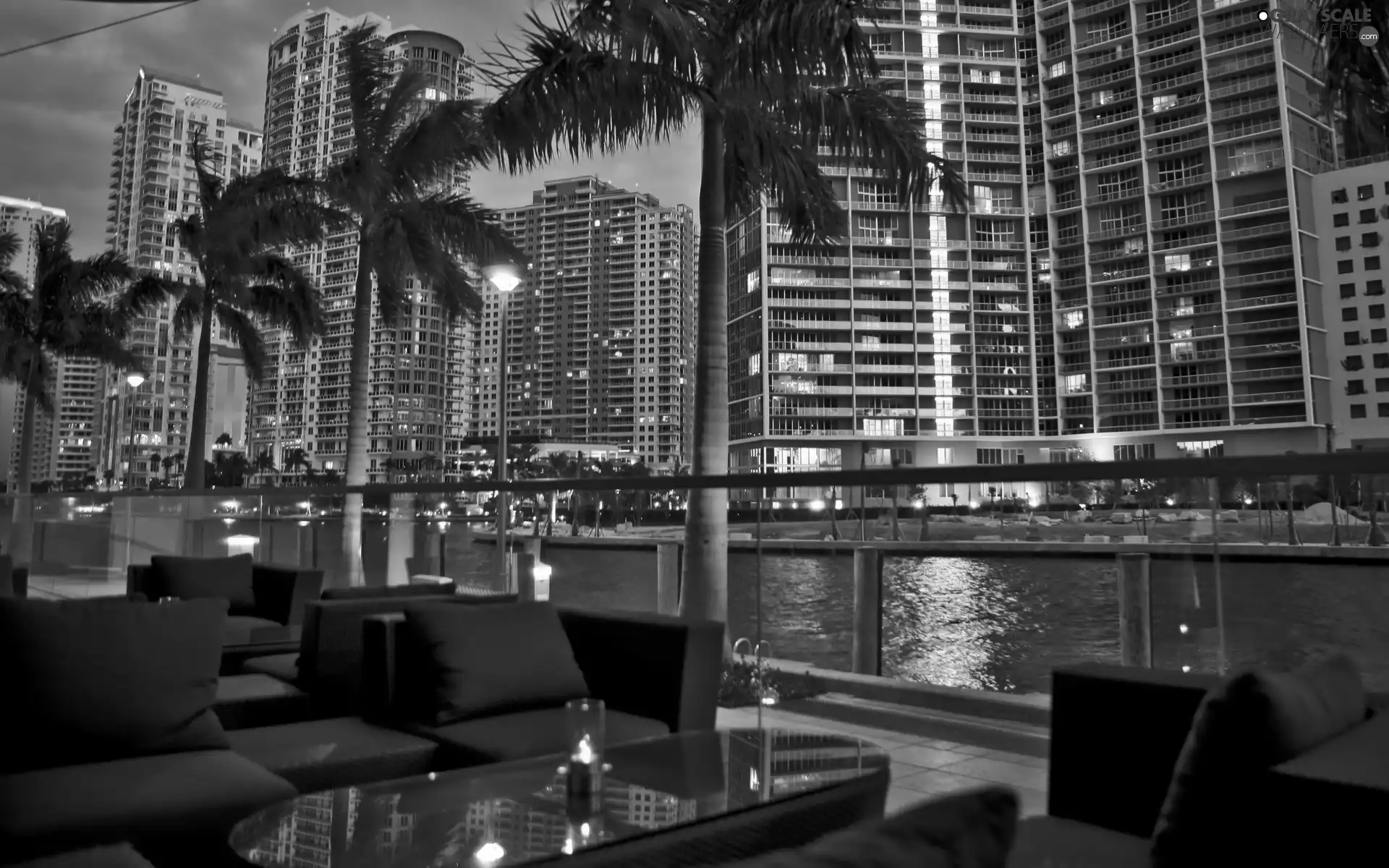 The United States, skyscraper, Palms, Miami