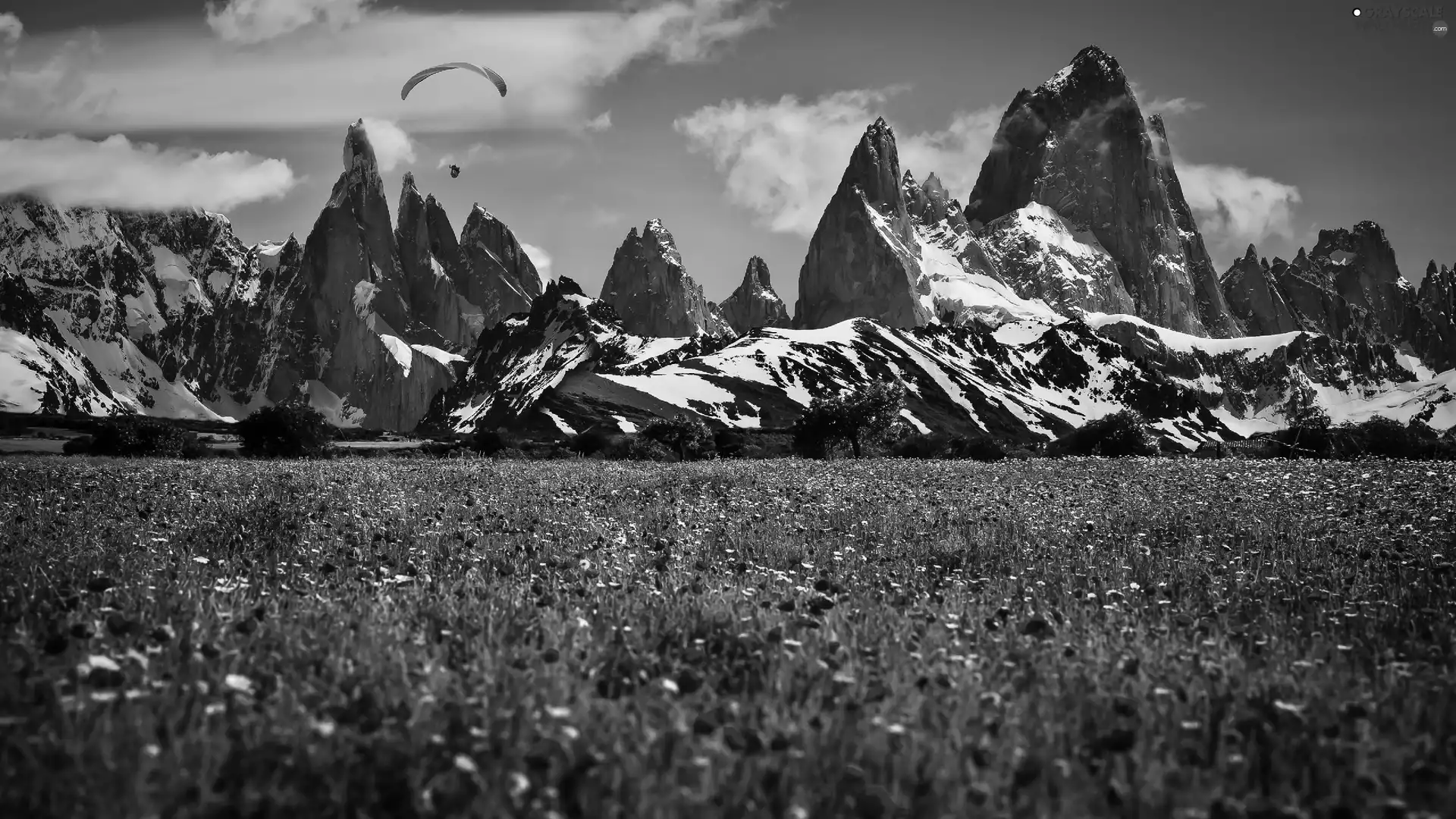 Meadow, peaks, paraglider, Mountains