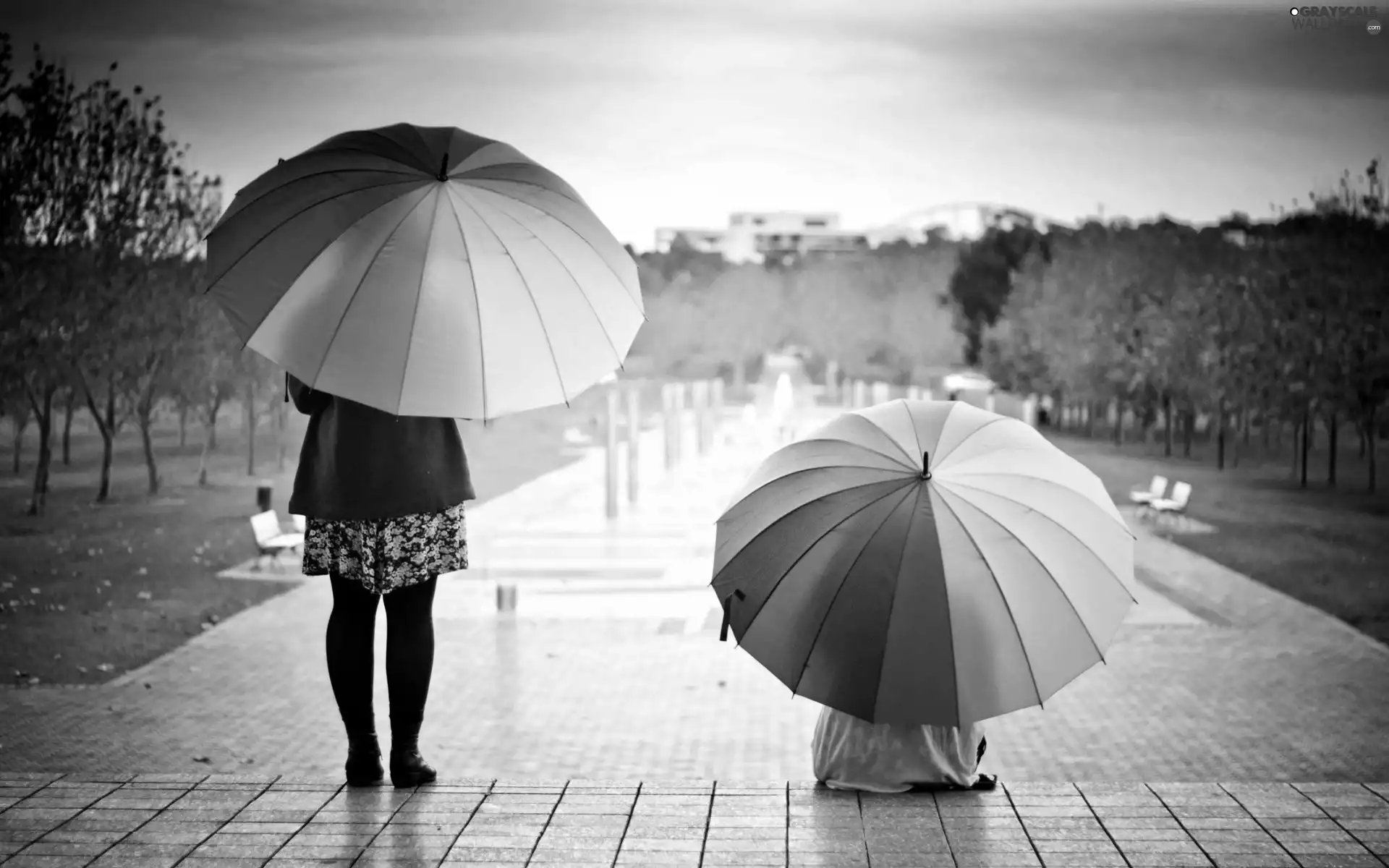 Two, color, Pool, Rain, Womens, umbrellas