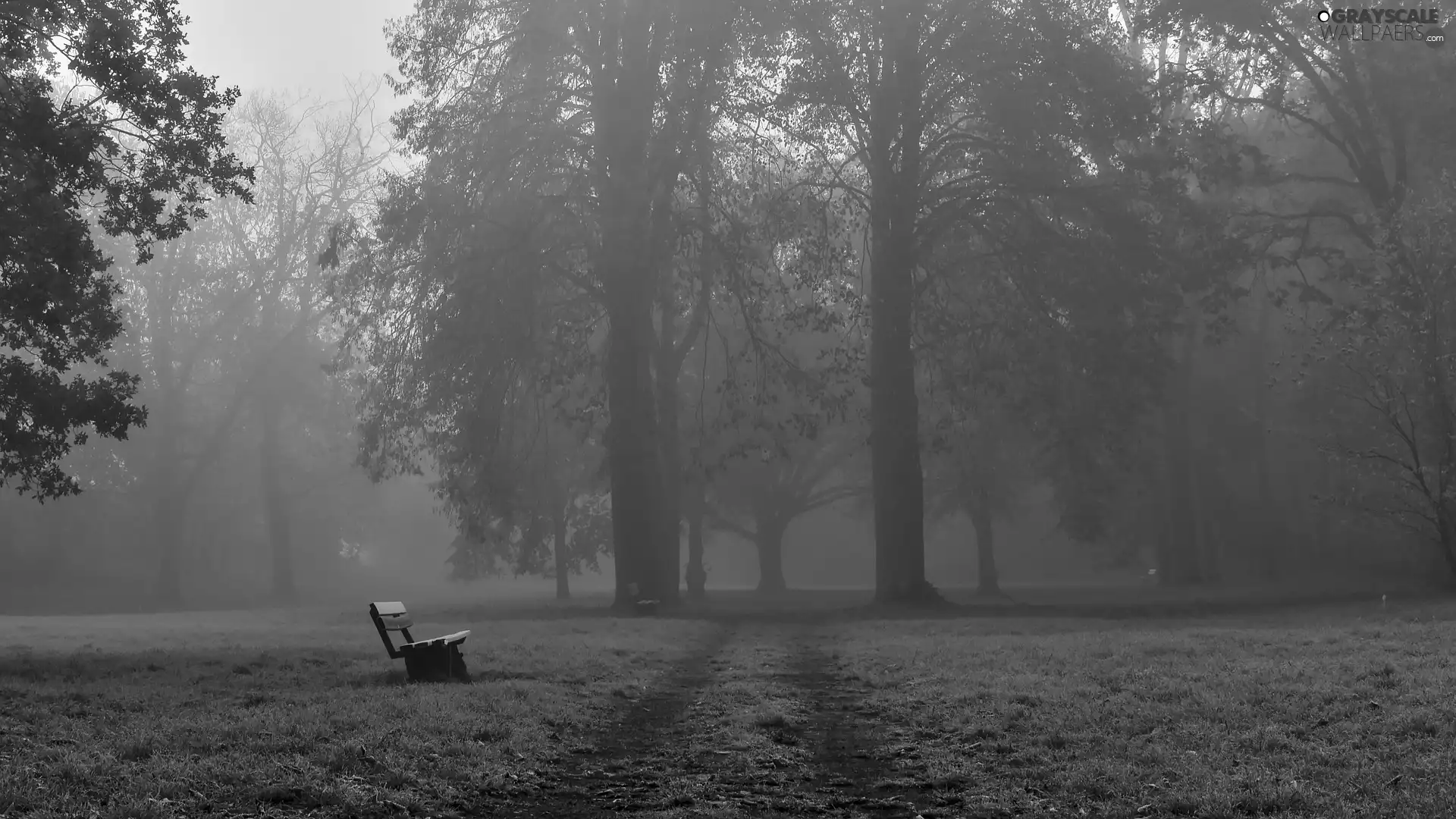 Bench, Park, viewes, Path, trees, Fog