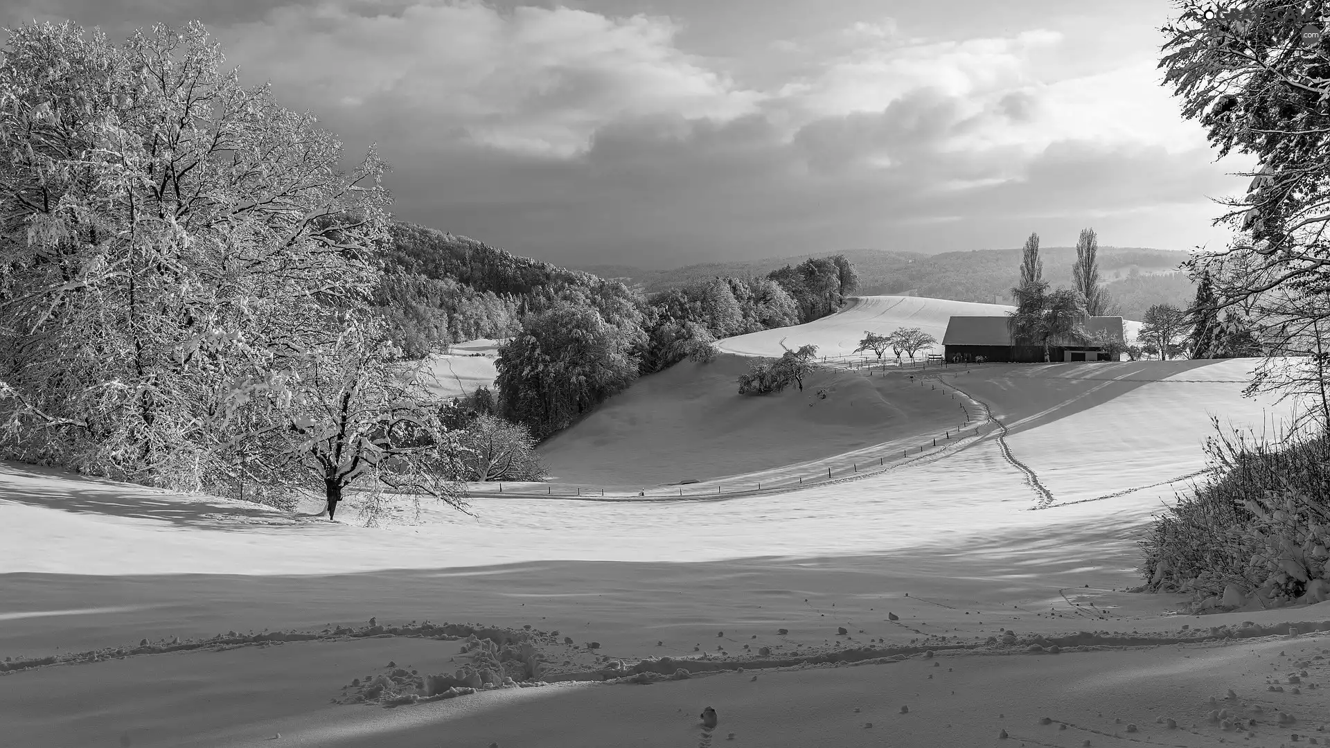 house, trees, Hill, viewes, Mountains, snow, winter, Path